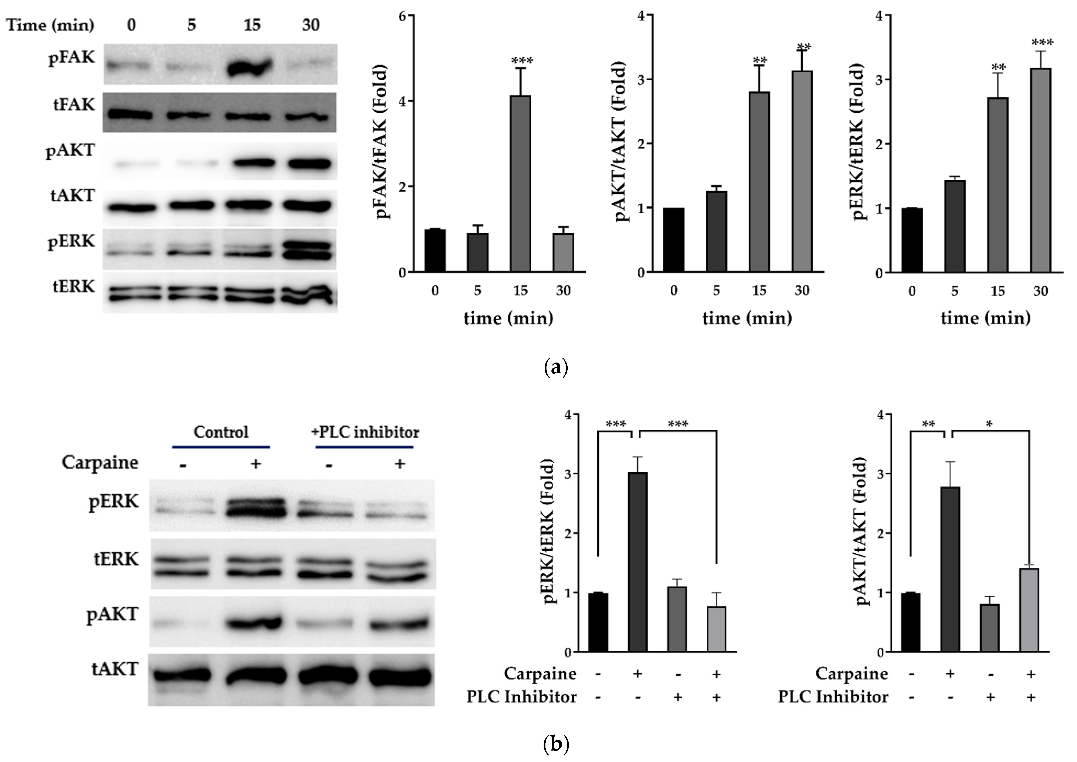 Pharmaceuticals 15 00230 g002