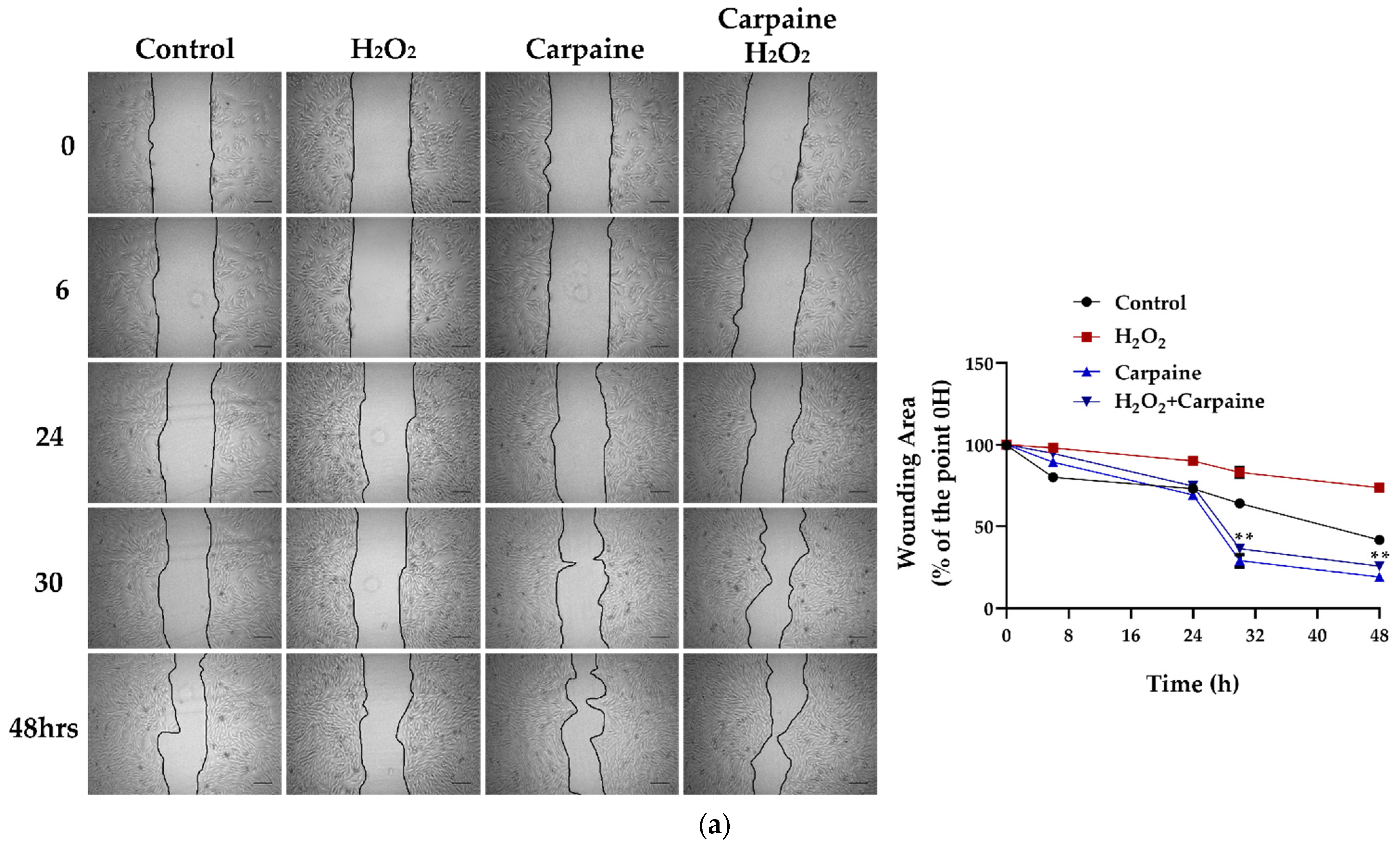 Pharmaceuticals 15 00230 g003a