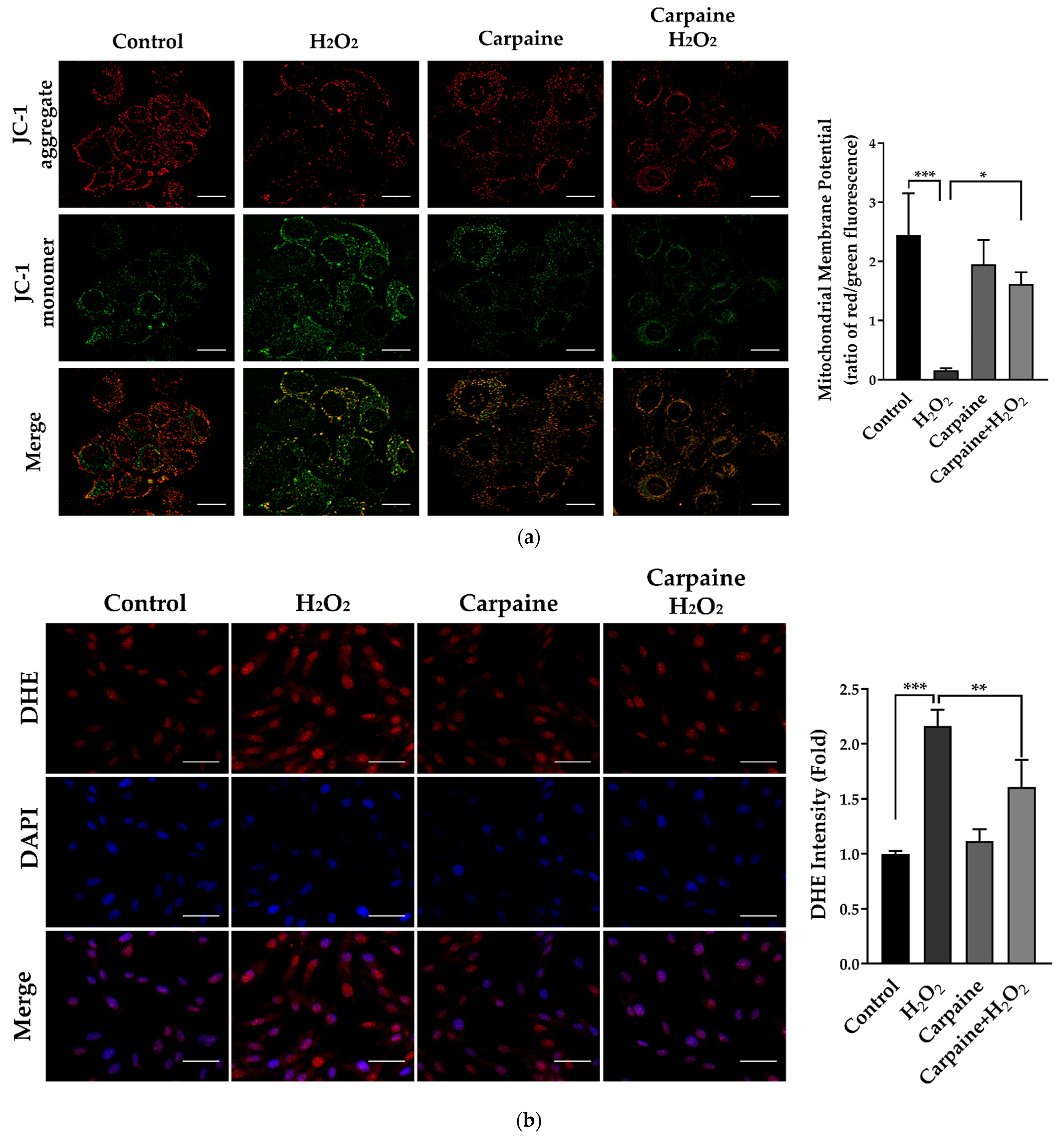 Pharmaceuticals 15 00230 g004