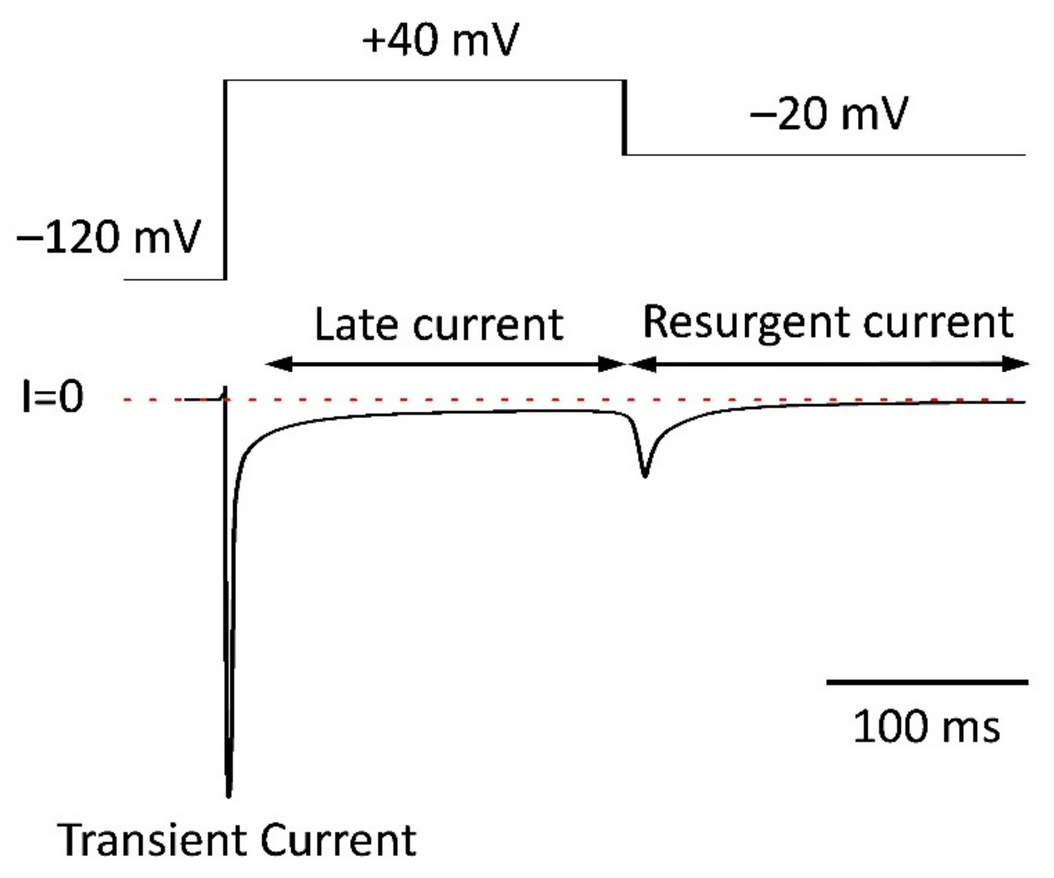 Pharmaceuticals 15 00231 g001