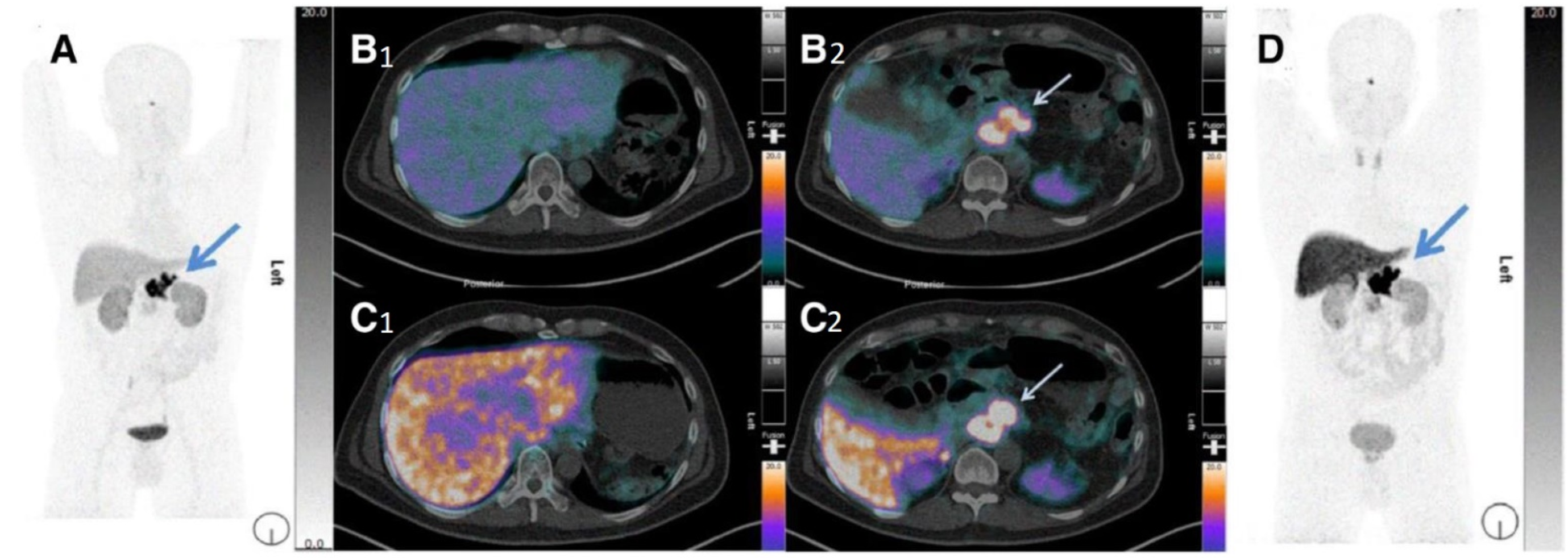 Pharmaceuticals 15 00234 g006