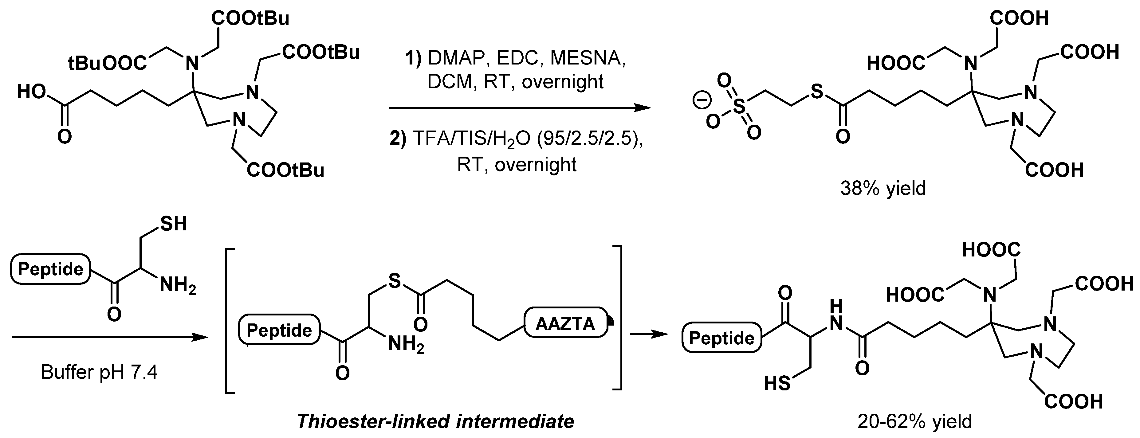 Pharmaceuticals 15 00234 sch007