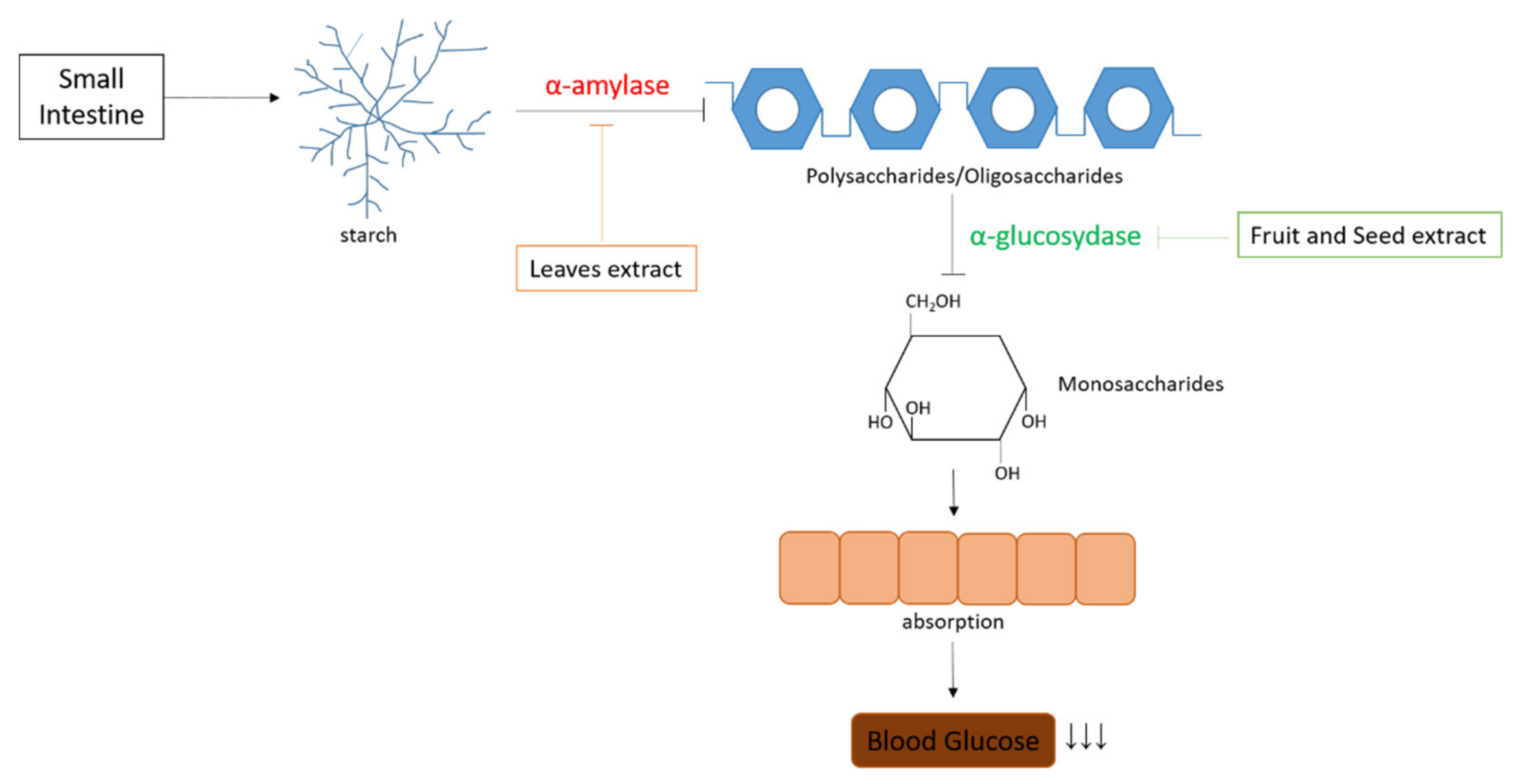 Pharmaceuticals 15 00238 g005 Pharmaceuticals 15 00238 g005