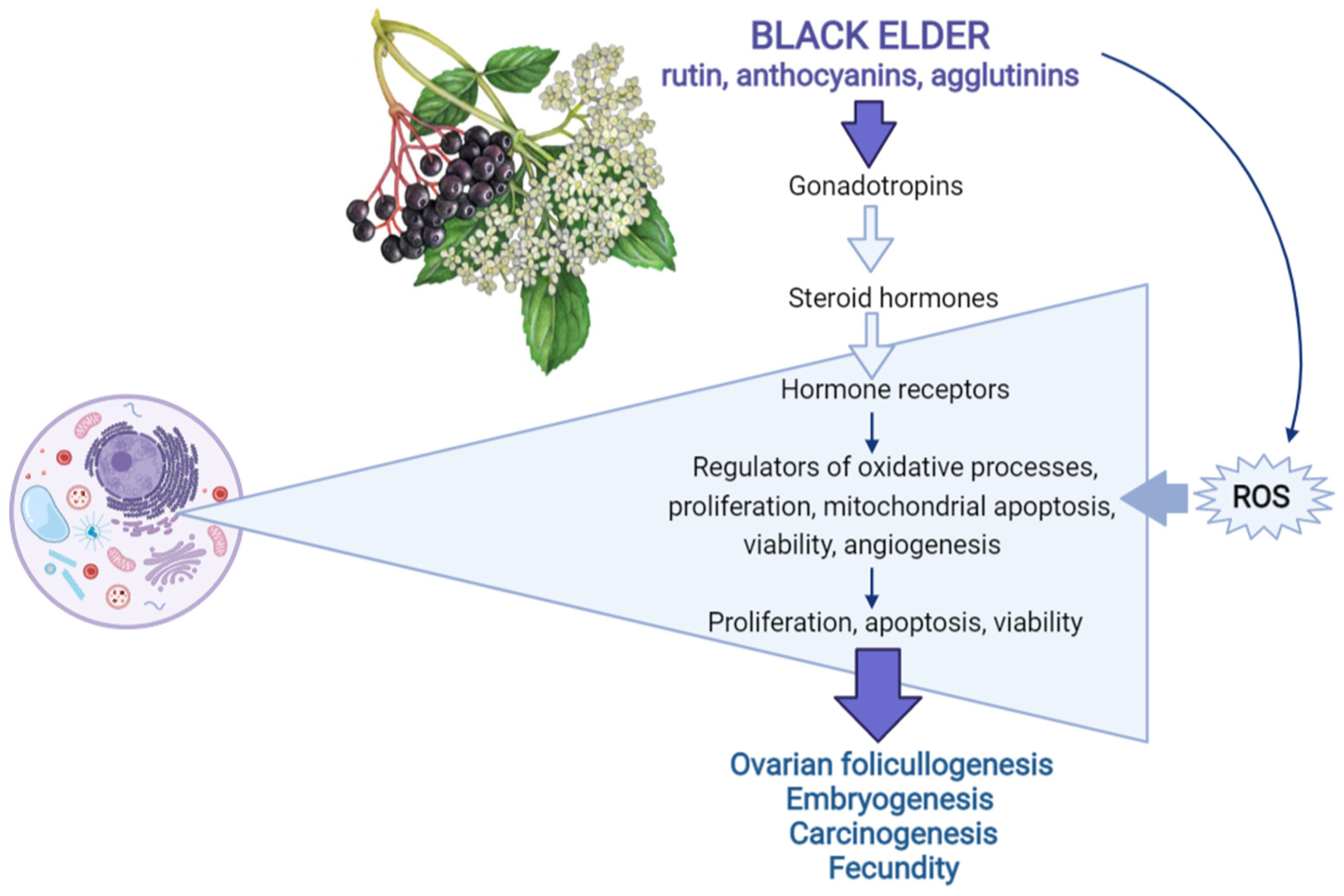 Pharmaceuticals 15 00239 g001