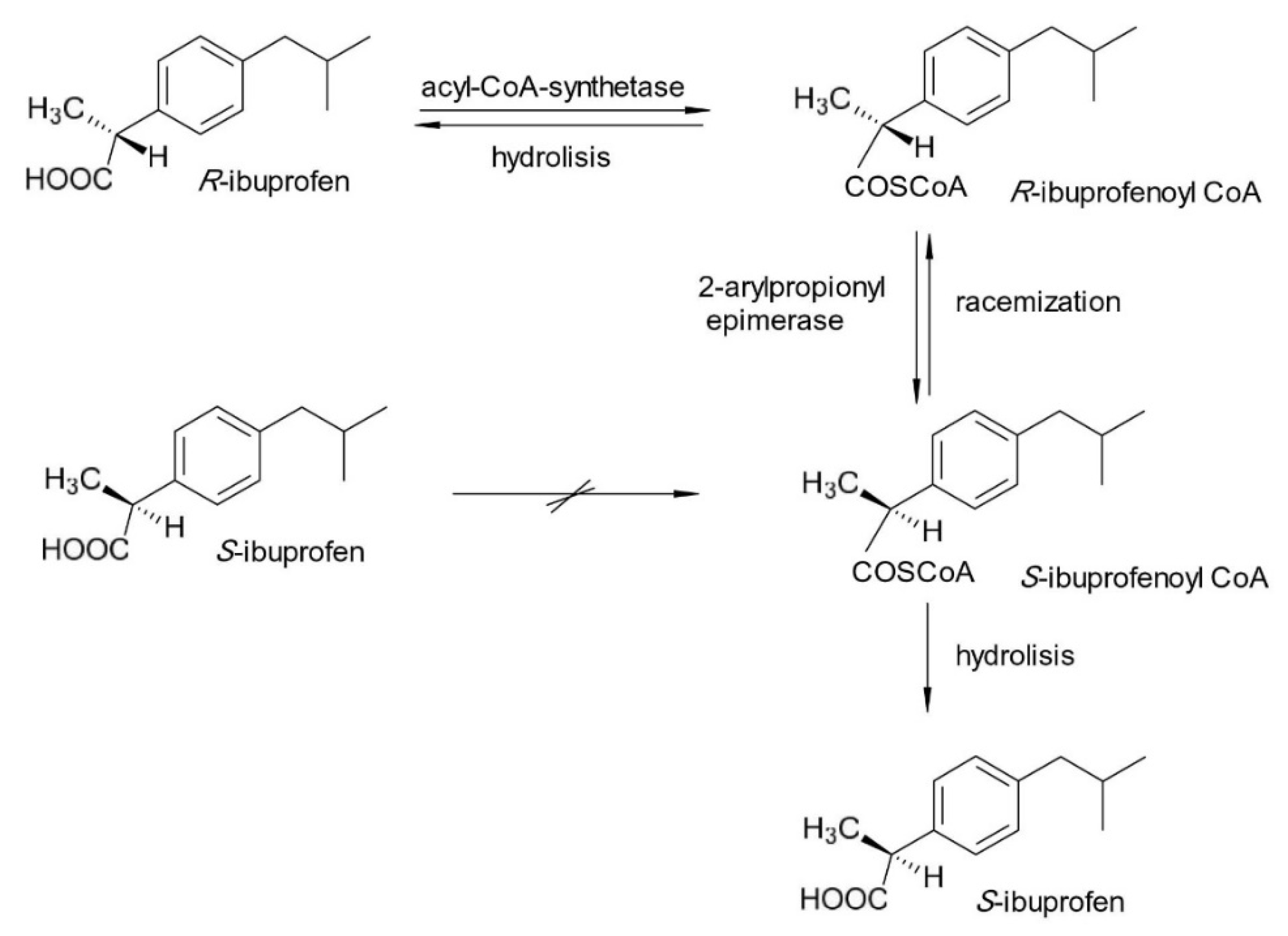 Pharmaceuticals 15 00240 g001