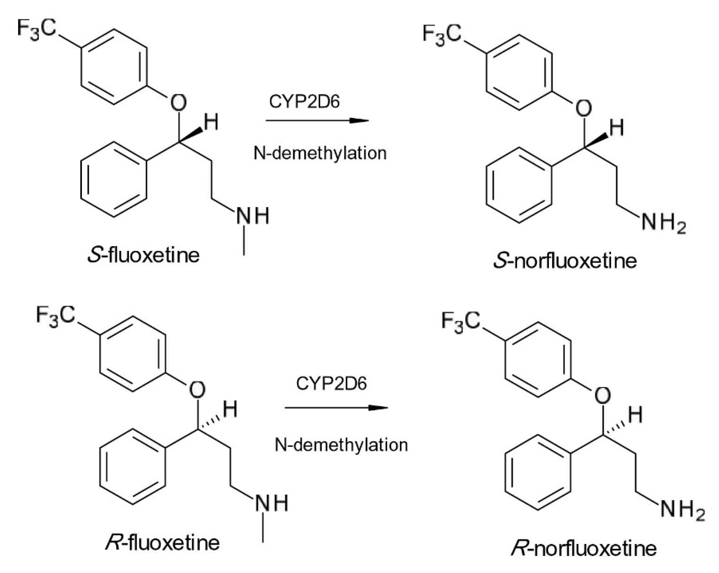 Pharmaceuticals 15 00240 g004