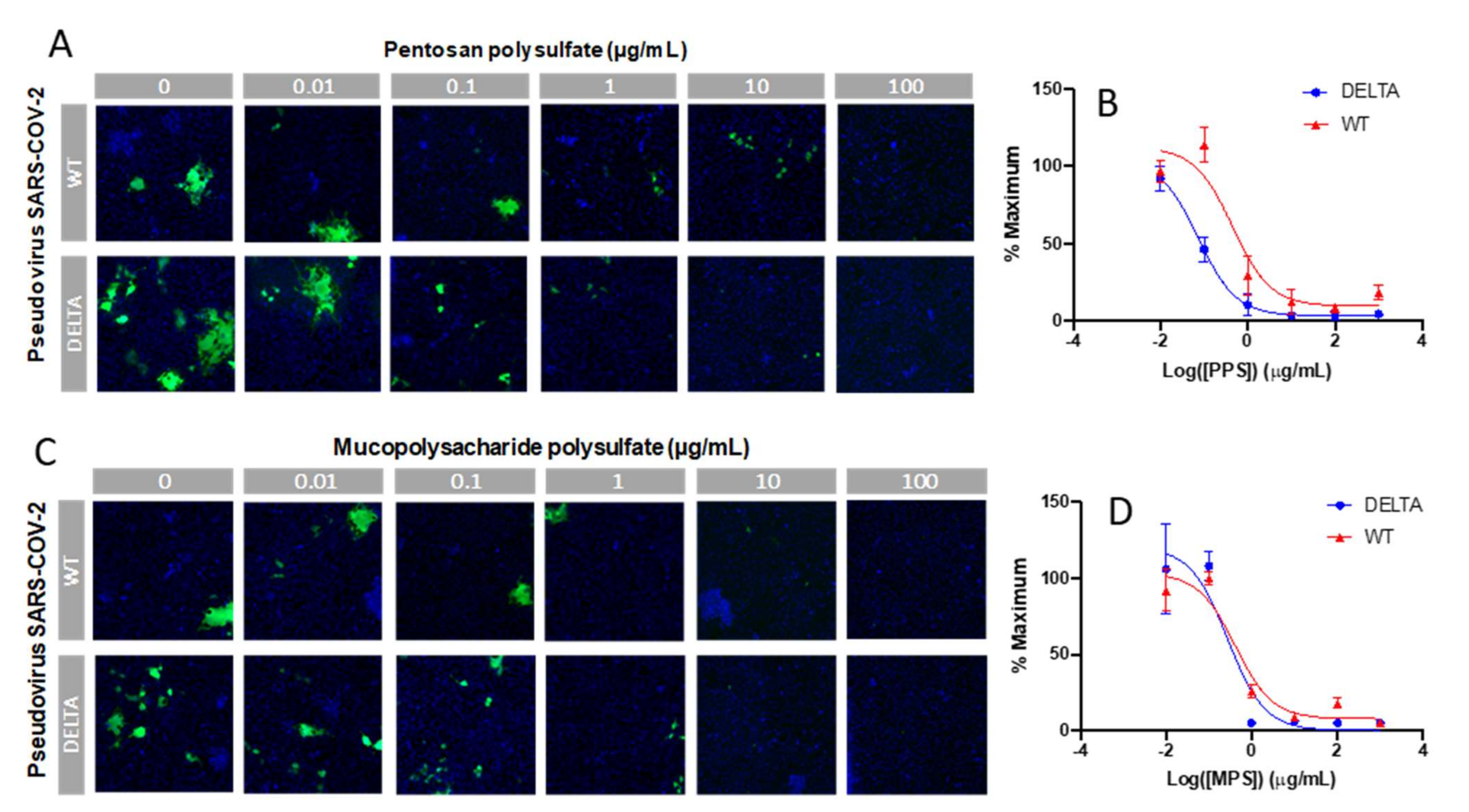 Pharmaceuticals 15 00258 g007
