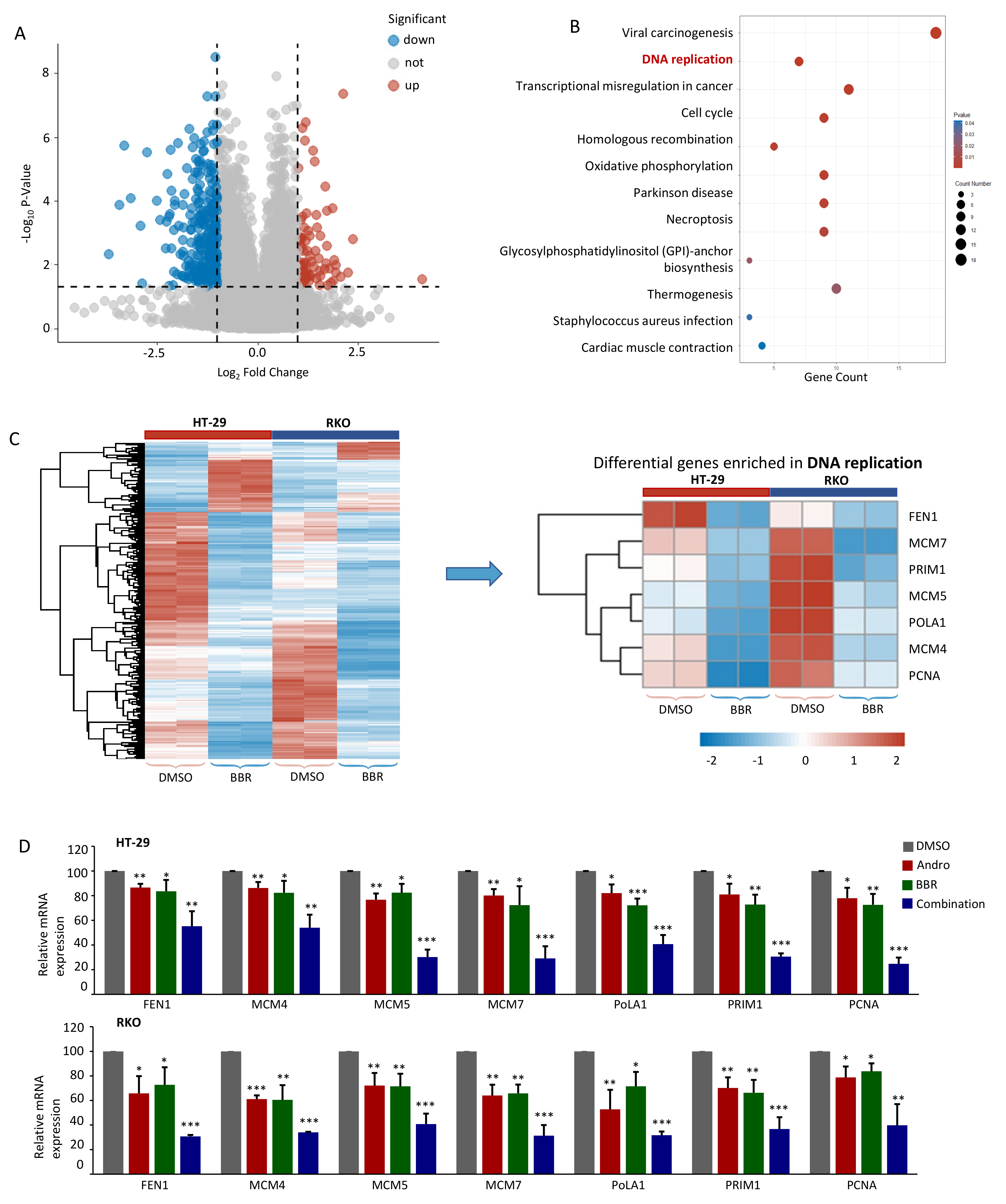 Pharmaceuticals 15 00262 g004