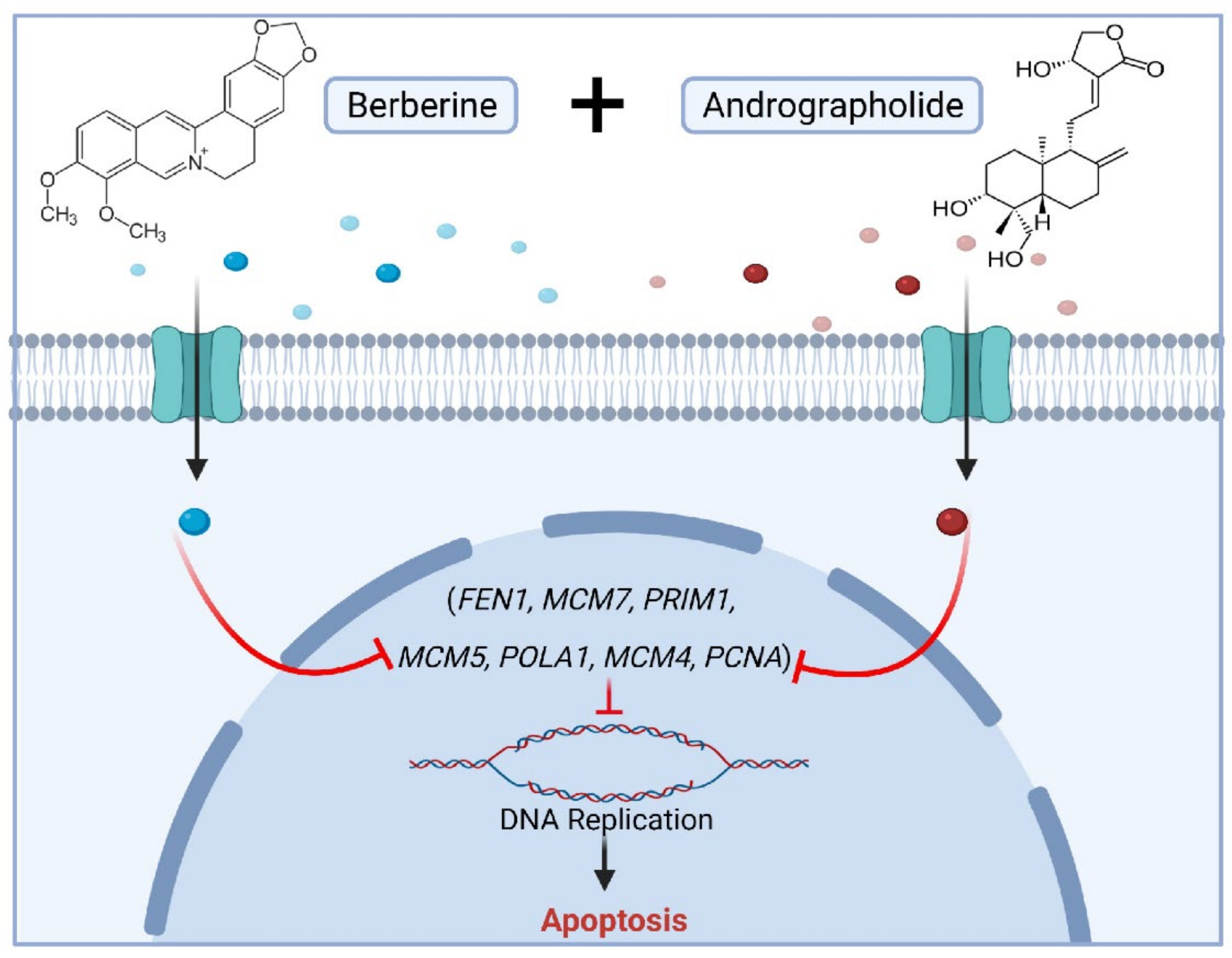 Pharmaceuticals 15 00262 g006