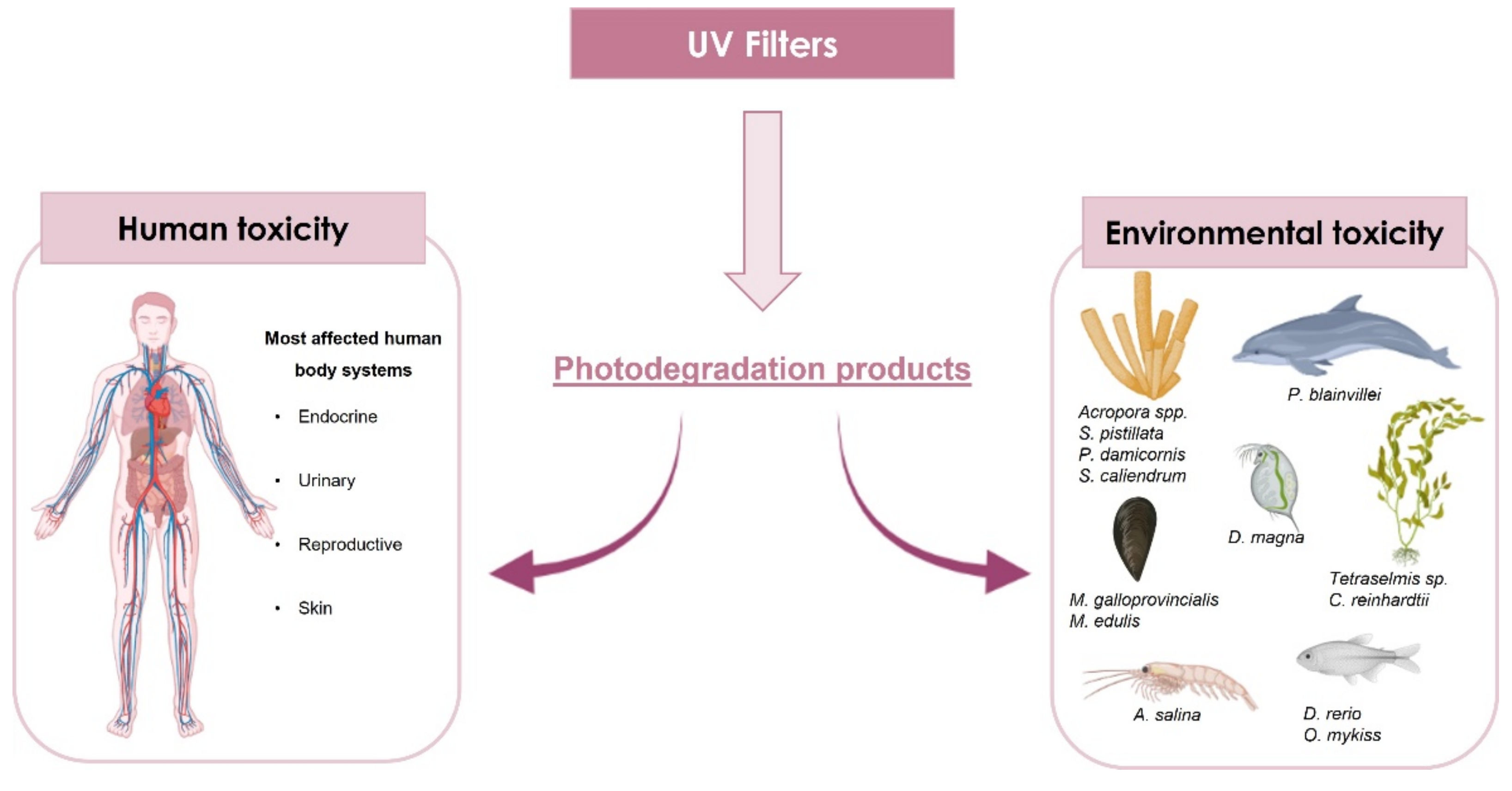 Pharmaceuticals 15 00263 g004 Pharmaceuticals 15 00263 g004