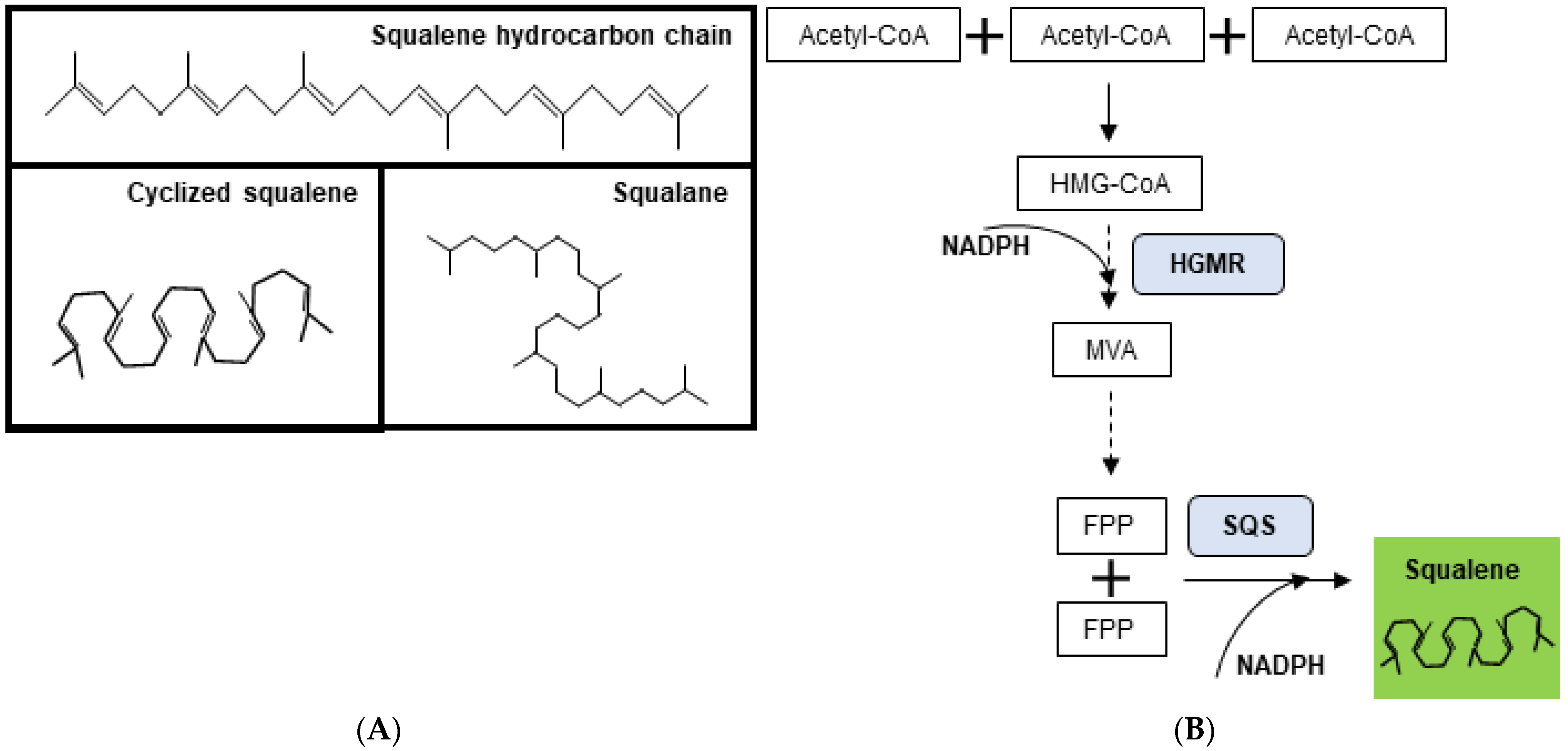 Pharmaceuticals 15 00265 g001