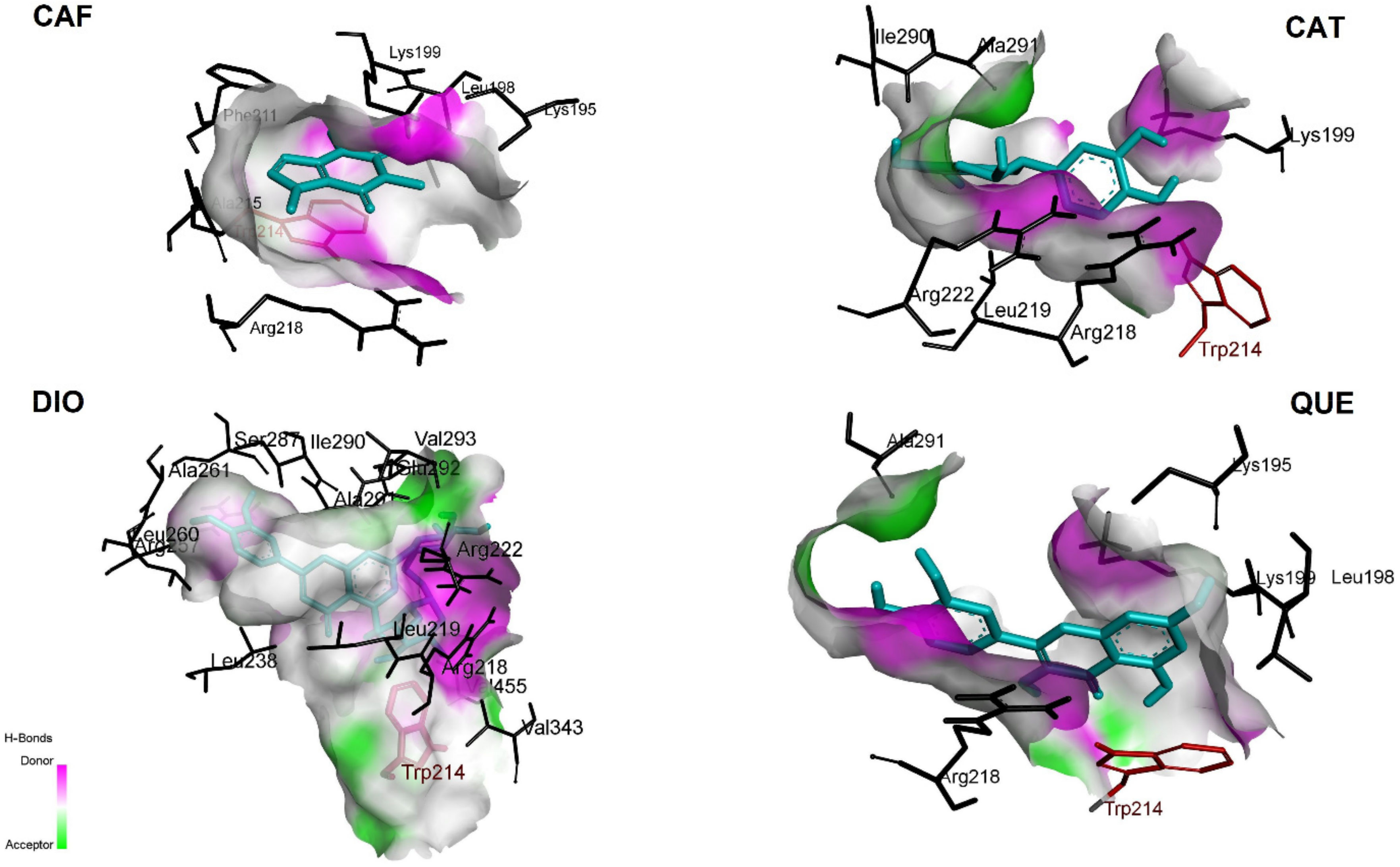 Pharmaceuticals 15 00266 g011
