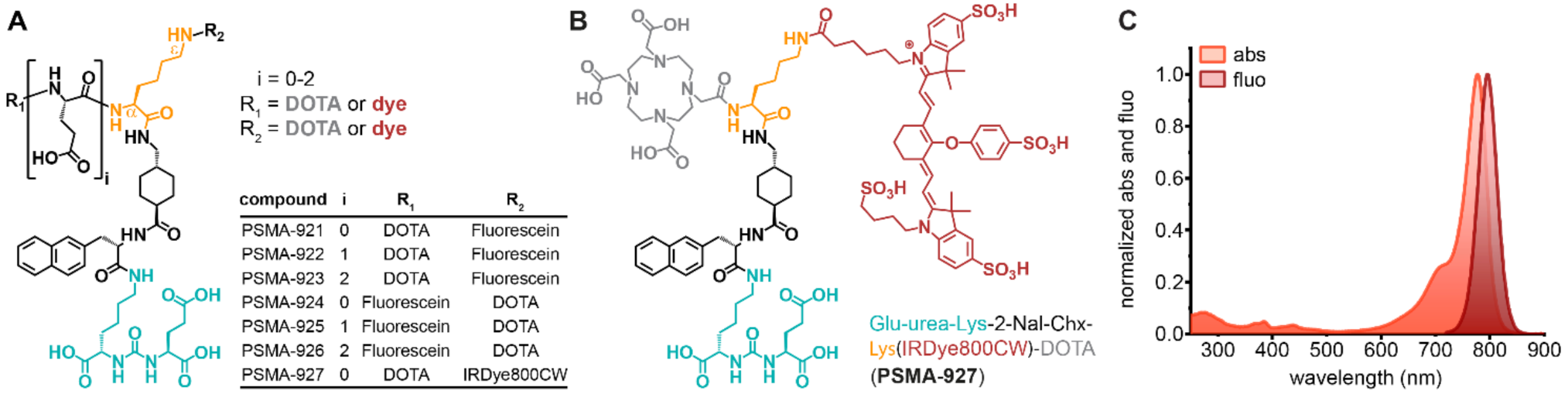 Pharmaceuticals 15 00267 g001