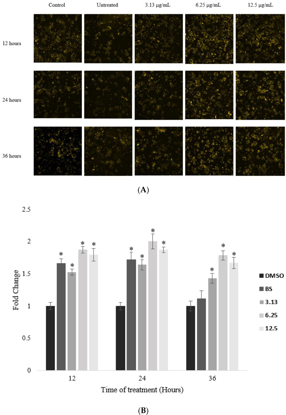 Pharmaceuticals 15 00269 g004 Pharmaceuticals 15 00269 g004