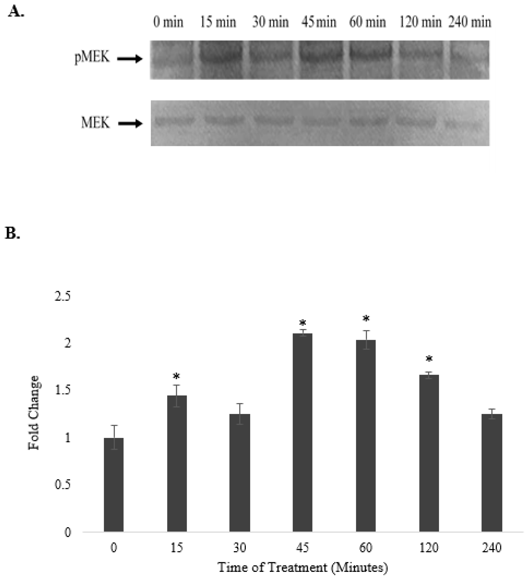 Pharmaceuticals 15 00269 g008 Pharmaceuticals 15 00269 g008