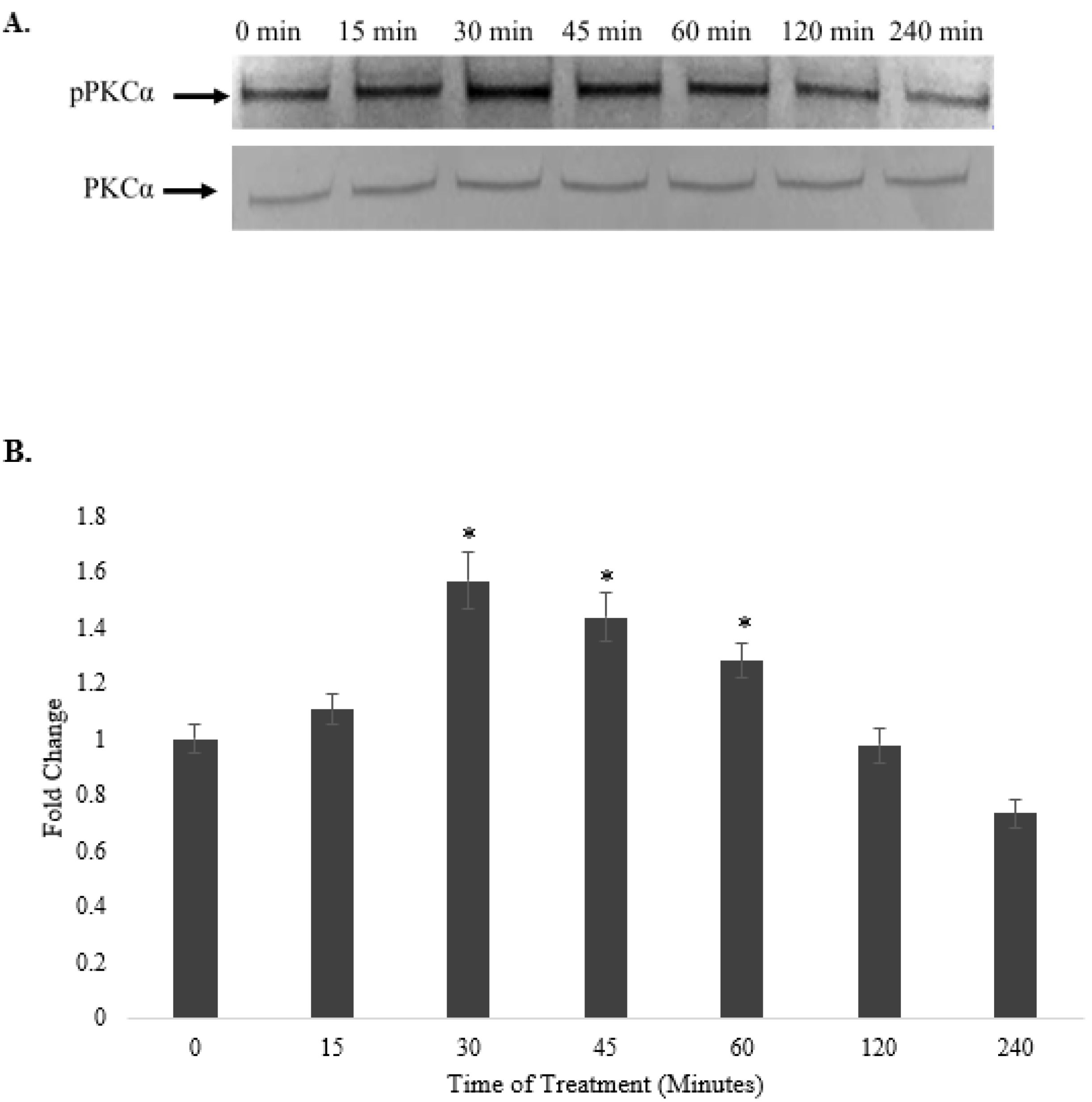 Pharmaceuticals 15 00269 g009 Pharmaceuticals 15 00269 g009