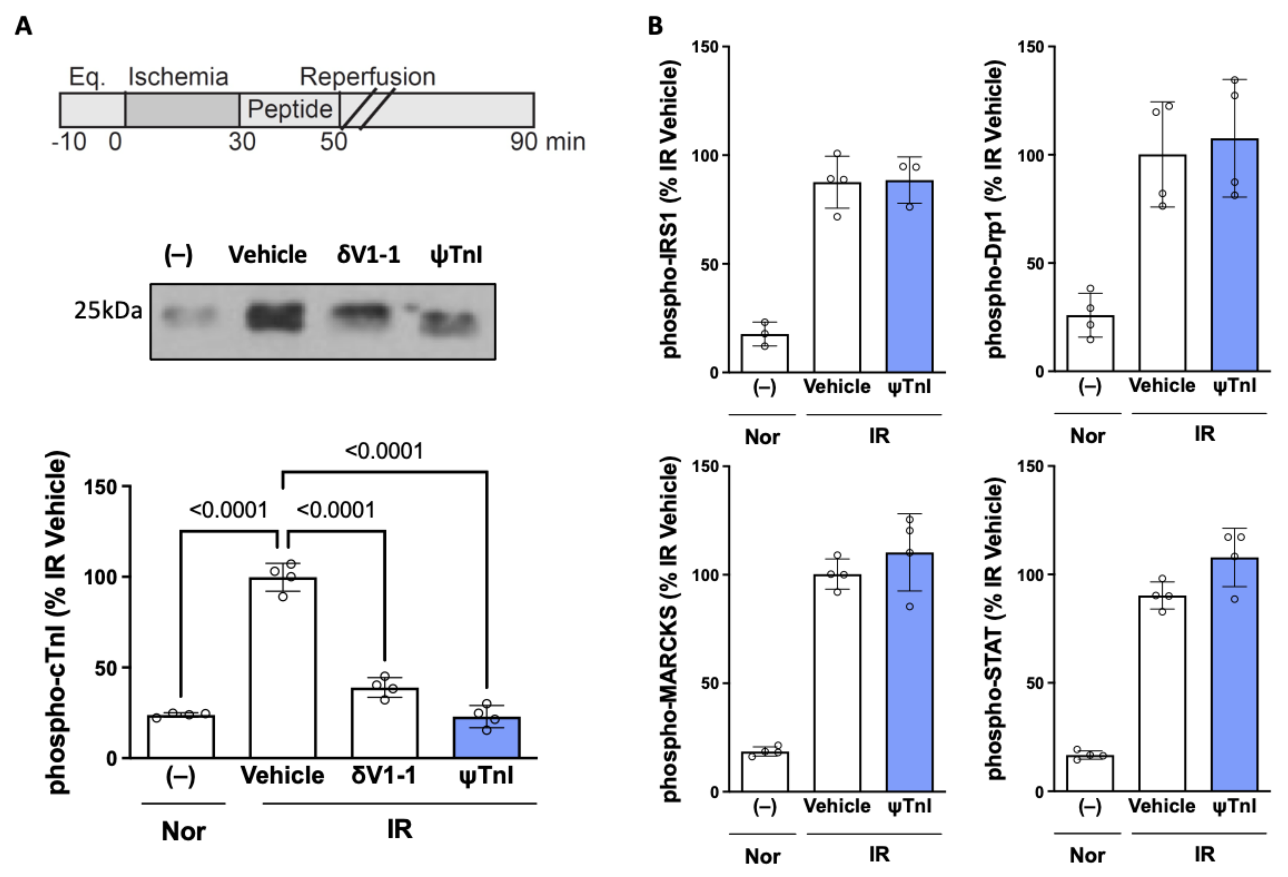 Pharmaceuticals 15 00271 g003
