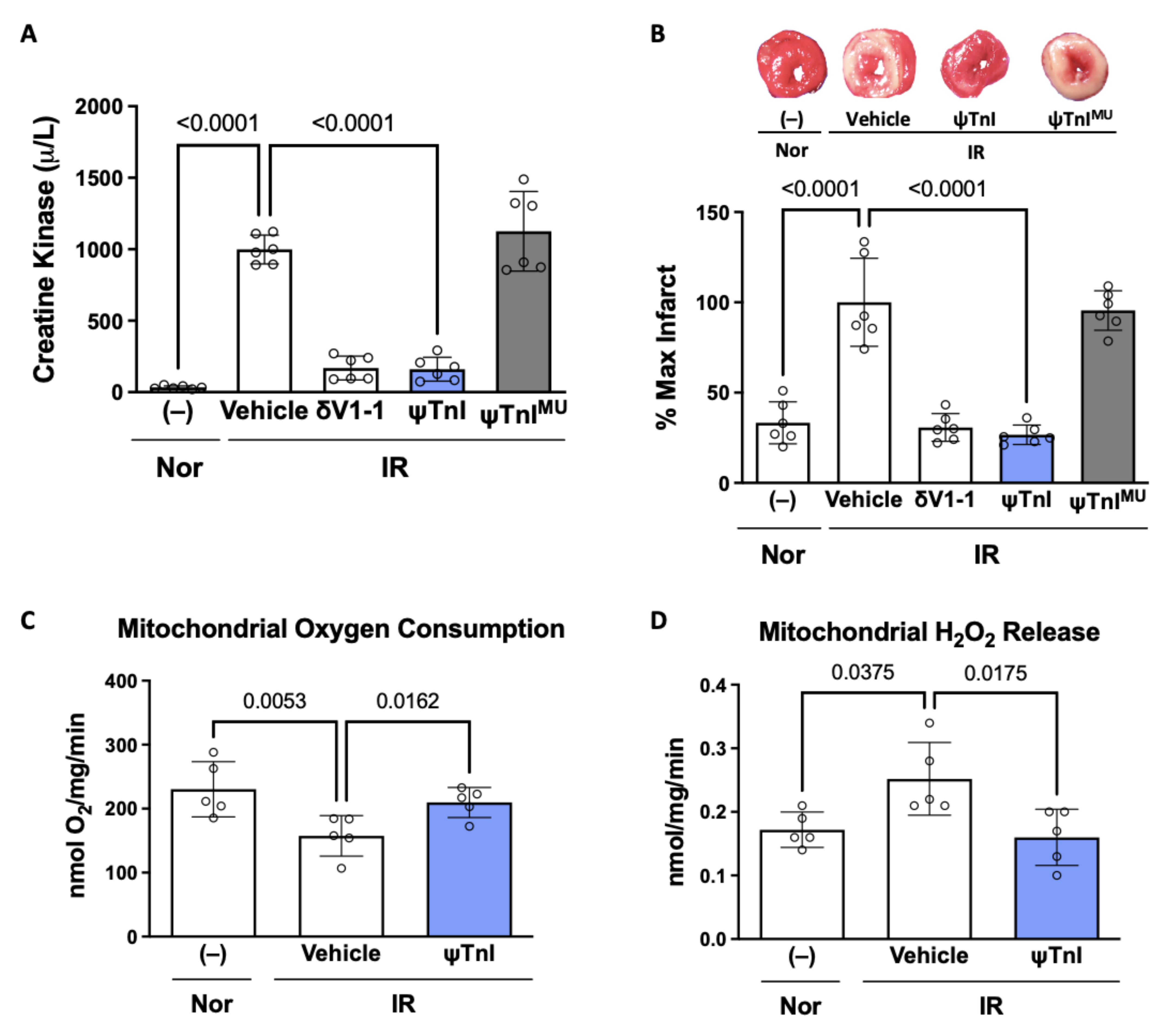 Pharmaceuticals 15 00271 g004