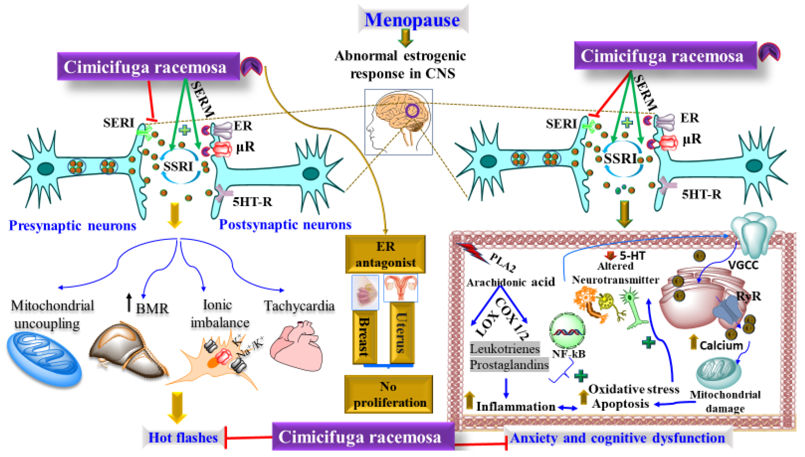 Pharmaceuticals 15 00278 g001