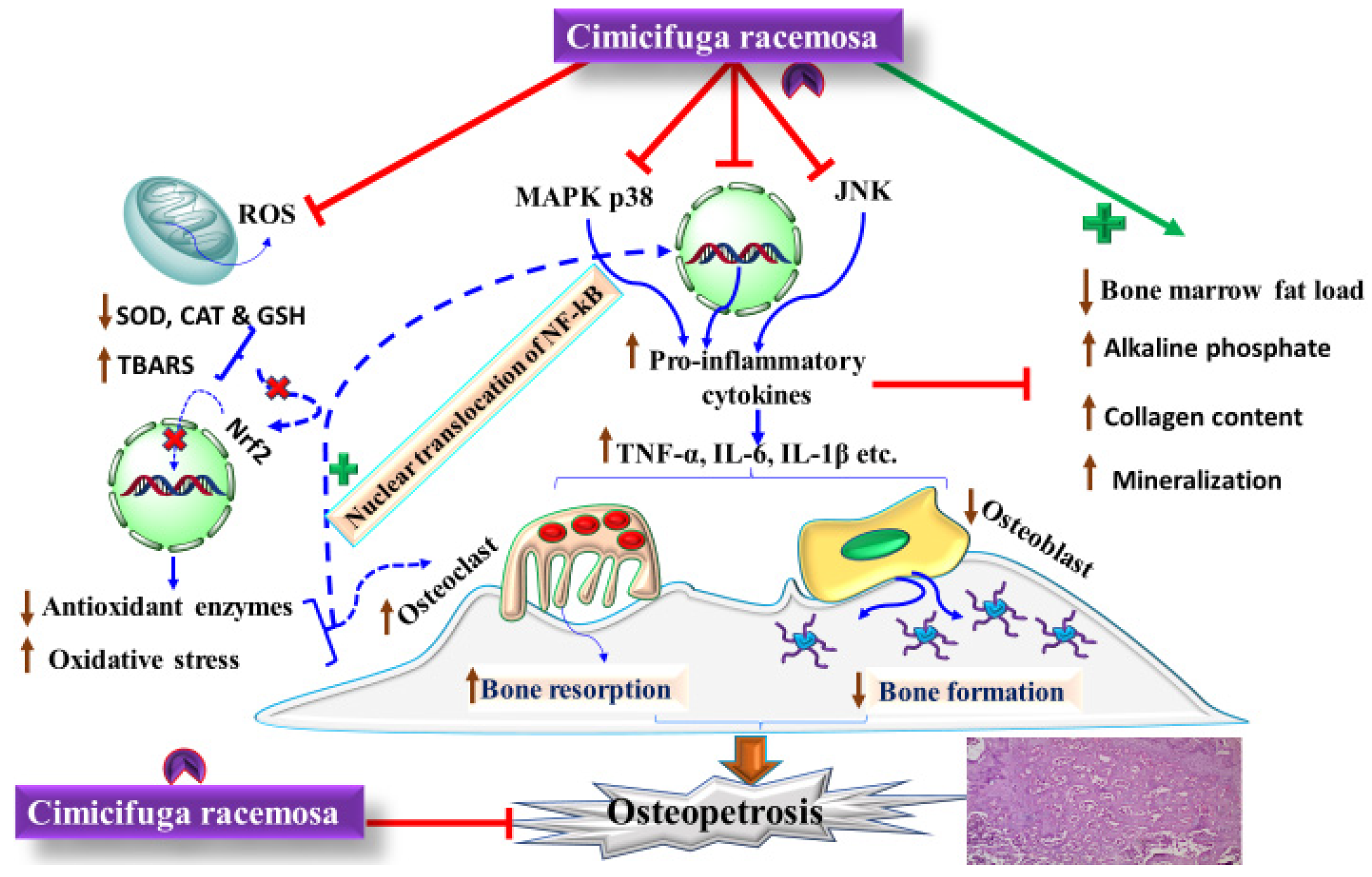 Pharmaceuticals 15 00278 g002