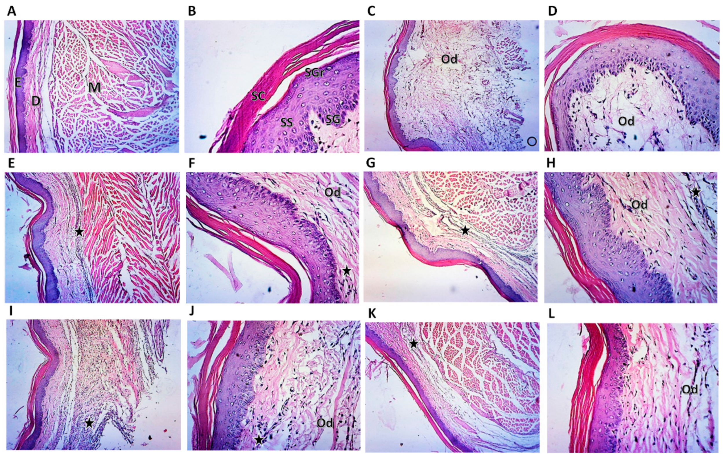 Pharmaceuticals 15 00282 g005