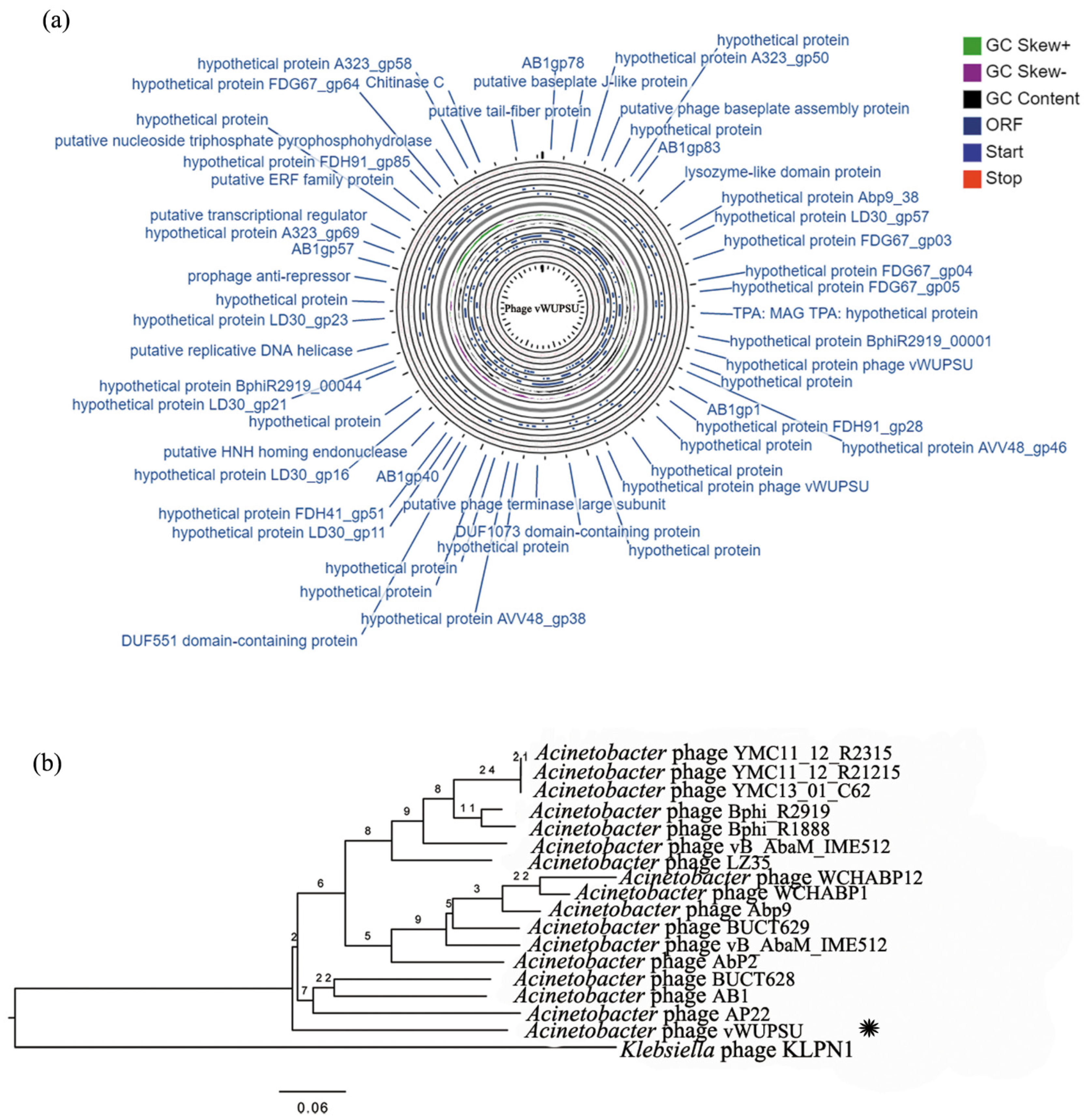 Pharmaceuticals 15 00291 g002a