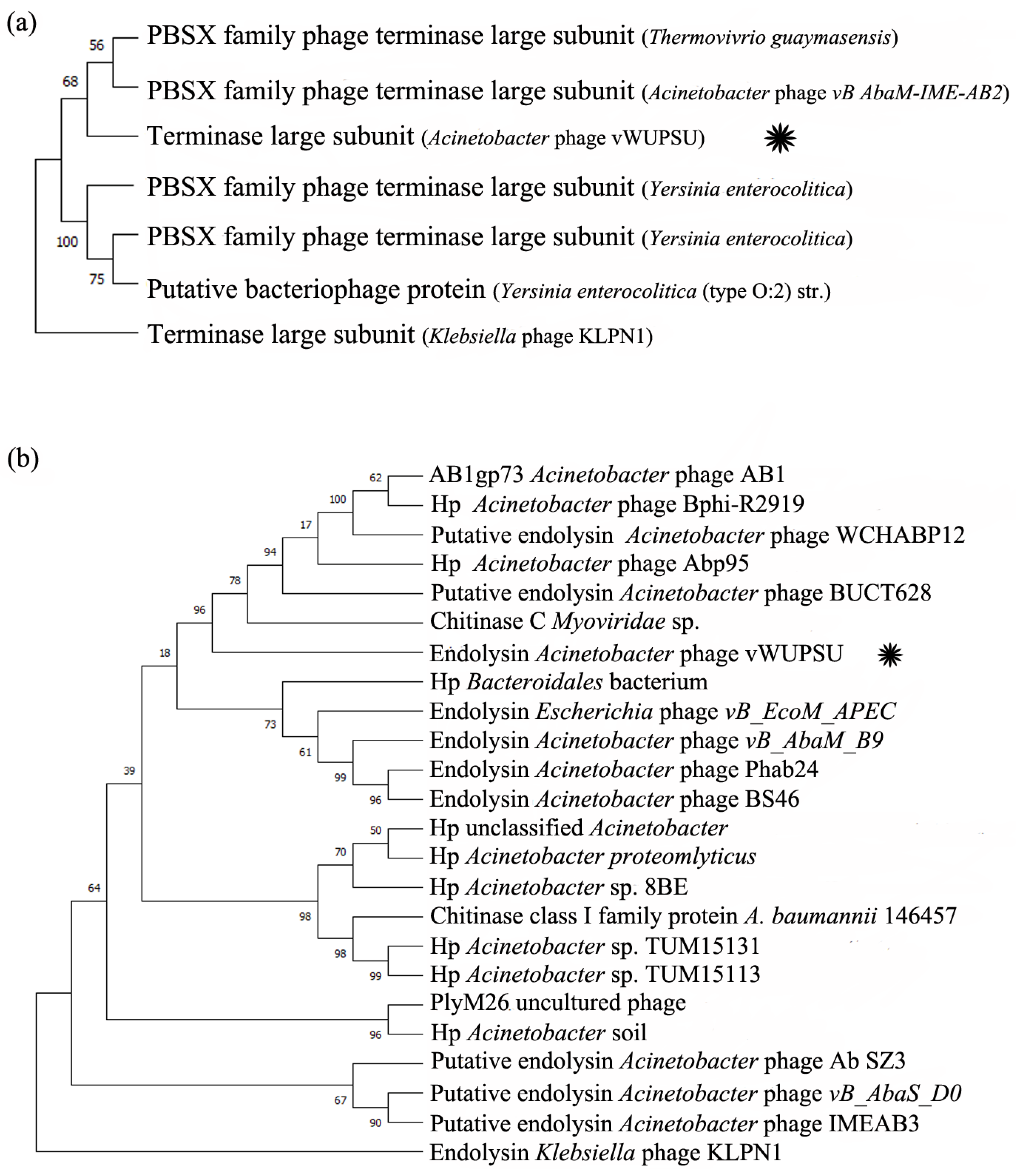 Pharmaceuticals 15 00291 g003