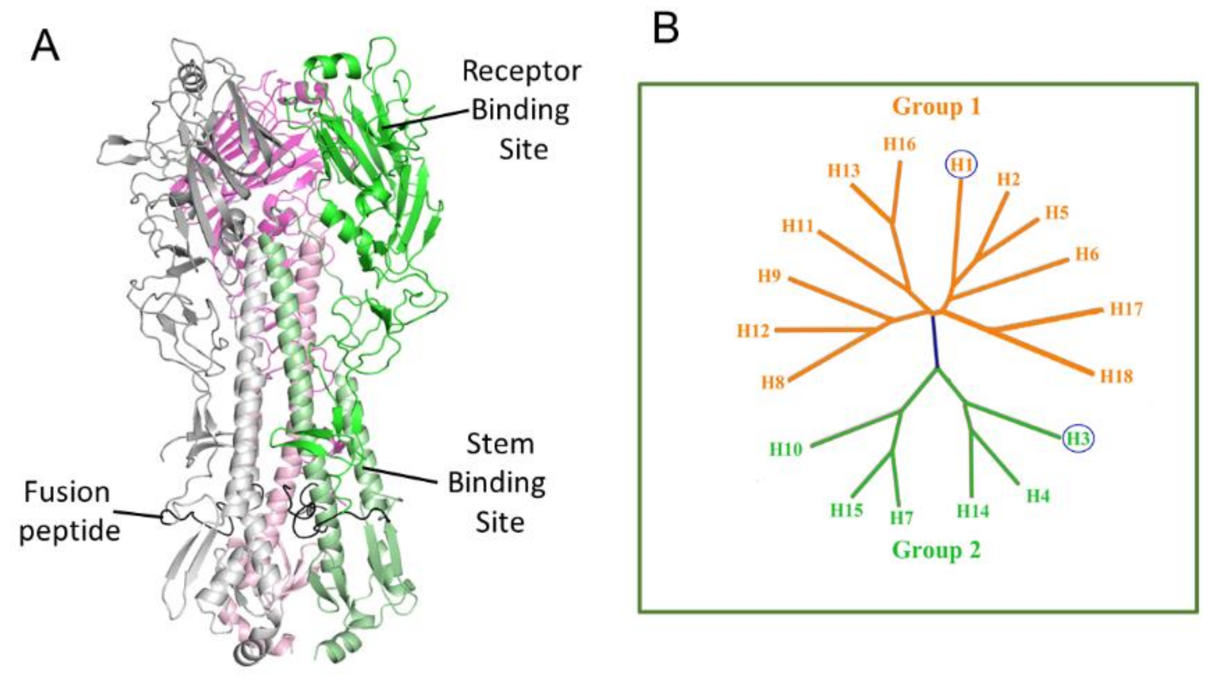 Pharmaceuticals 15 00301 g001