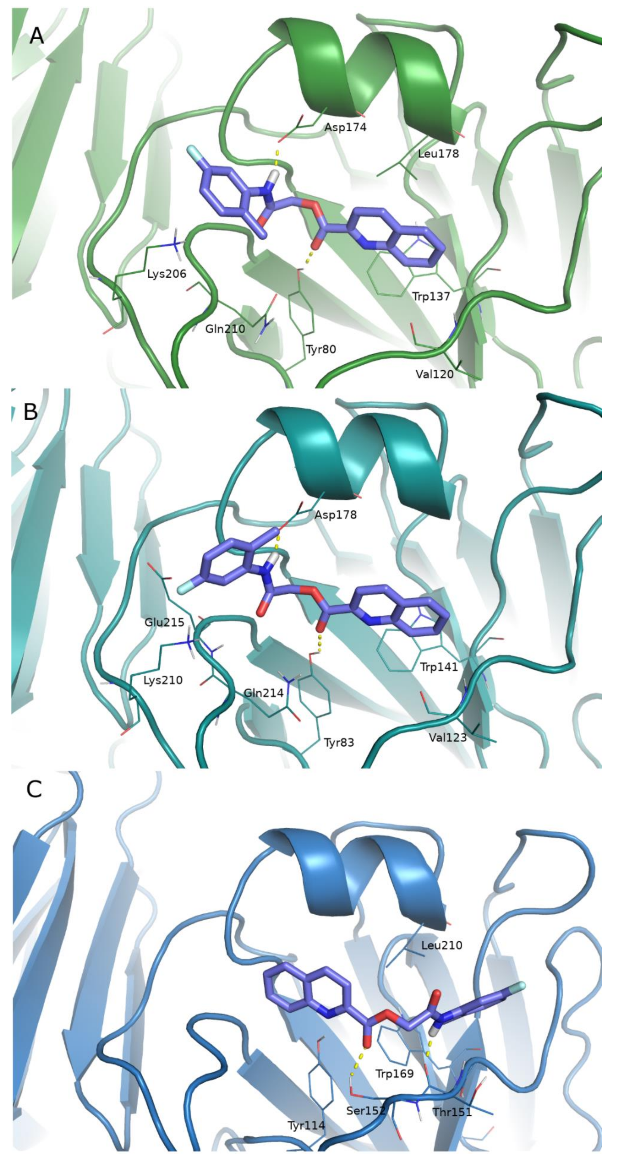 Pharmaceuticals 15 00301 g004