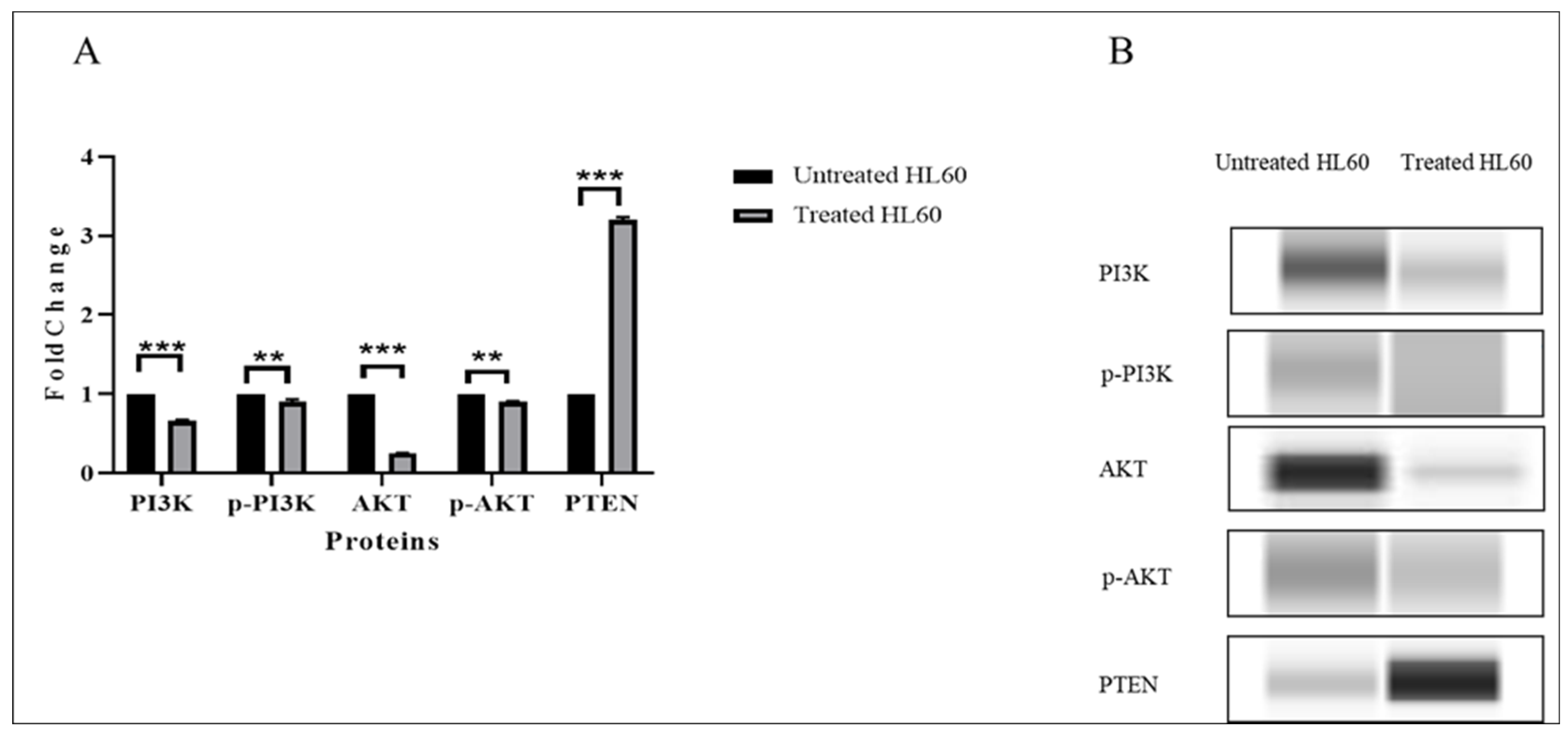 Pharmaceuticals 15 00307 g009