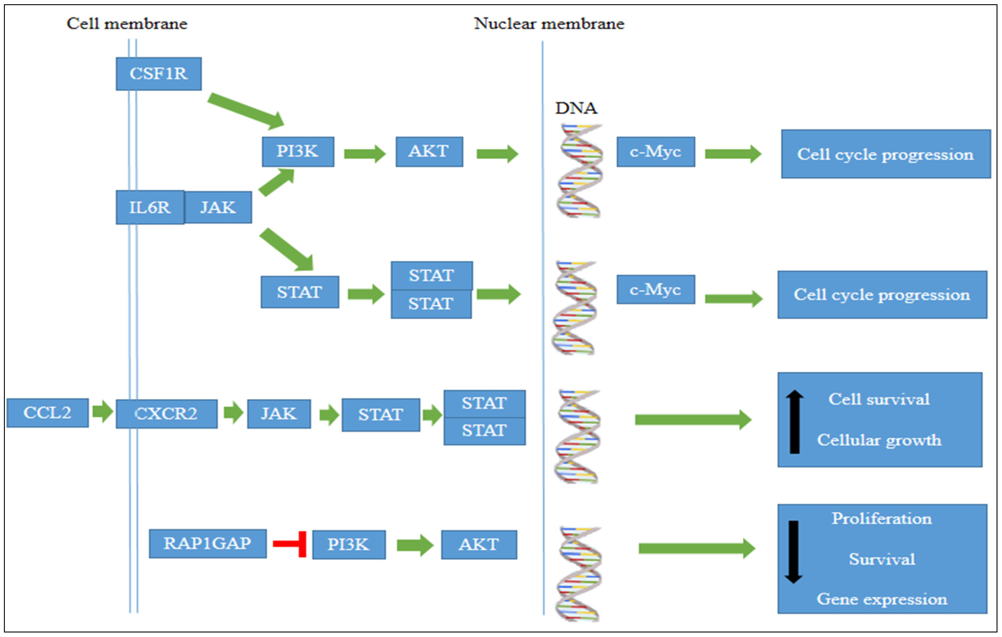 Pharmaceuticals 15 00307 g011