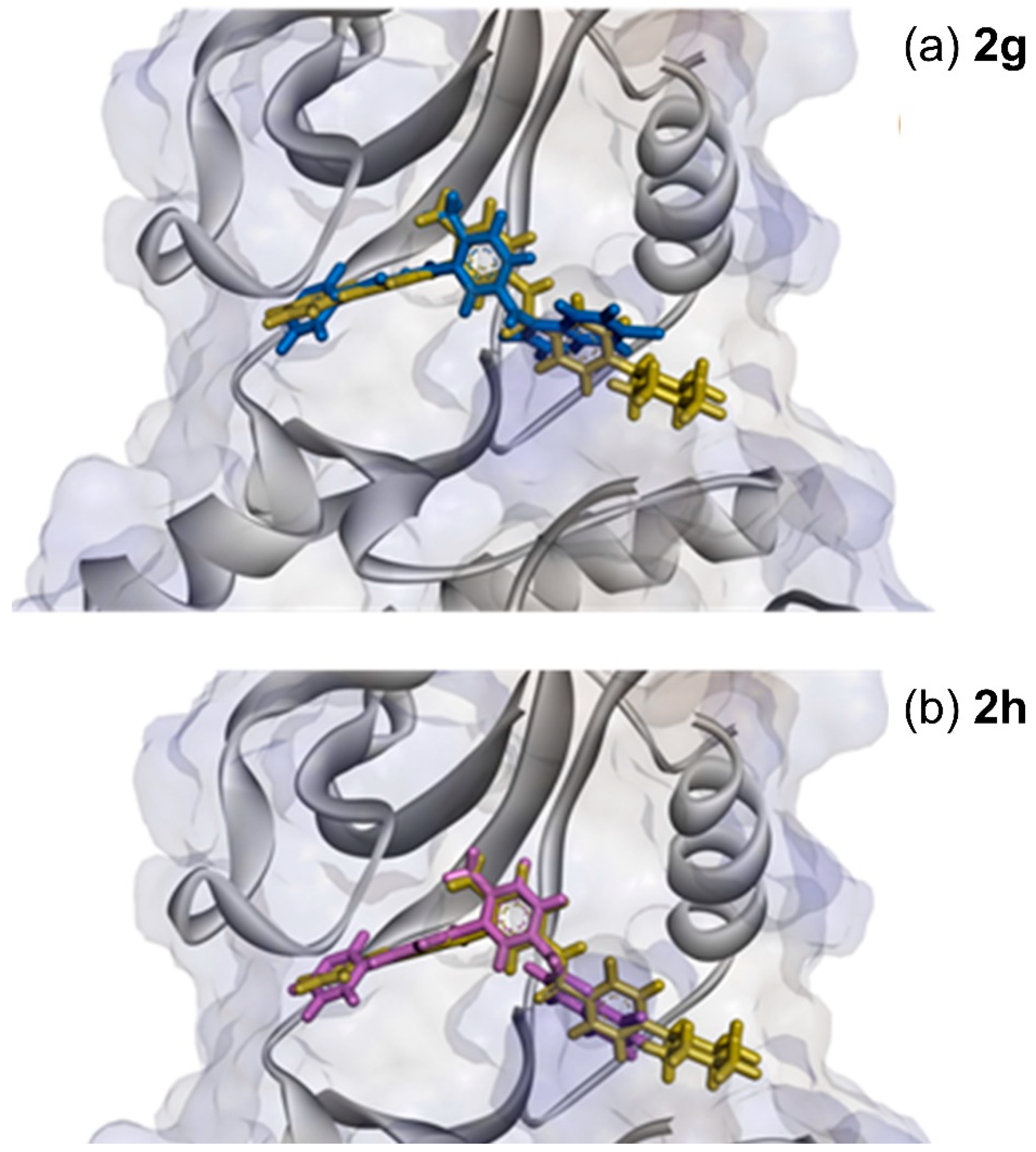 Pharmaceuticals 15 00309 g007