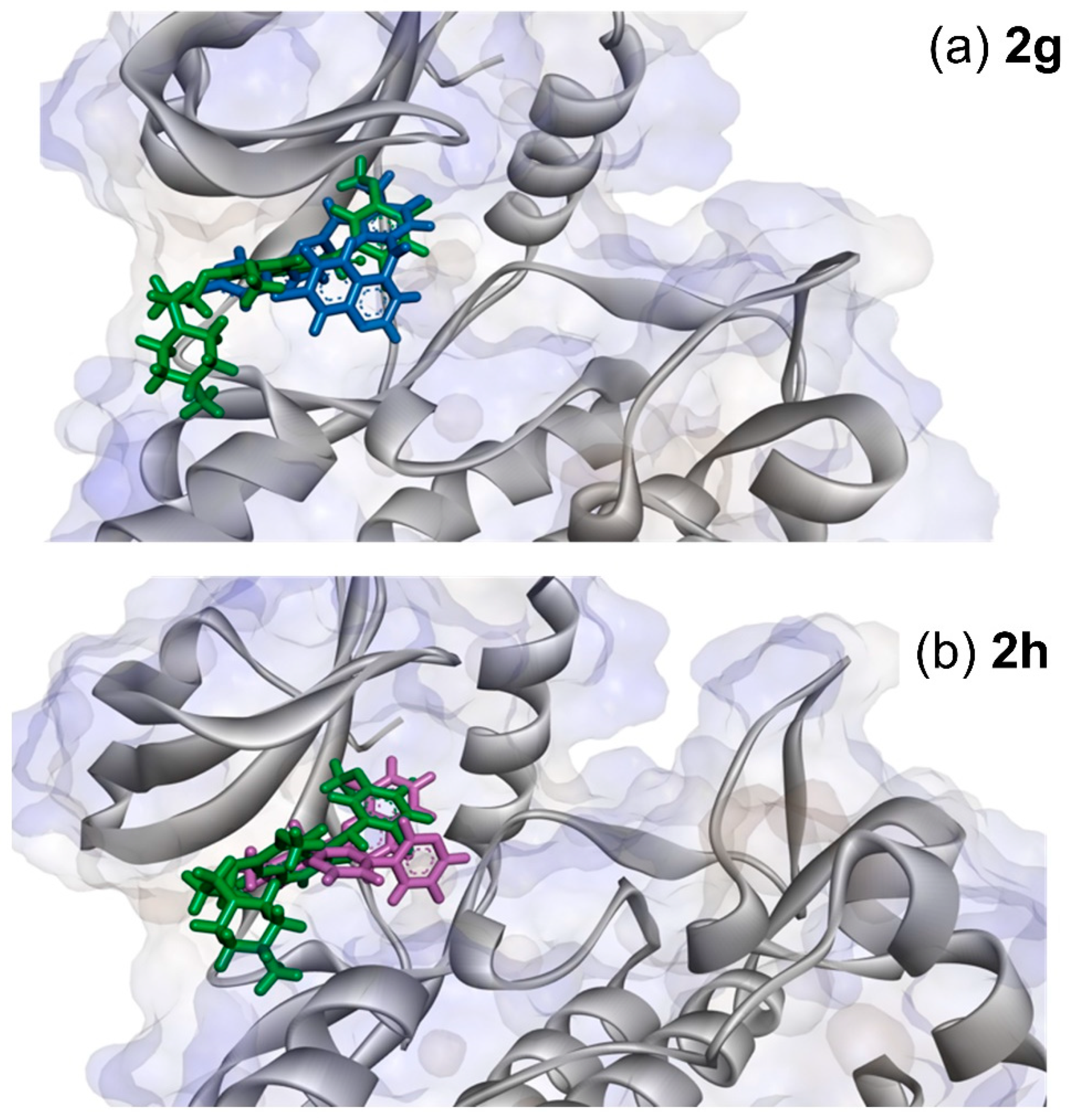 Pharmaceuticals 15 00309 g009