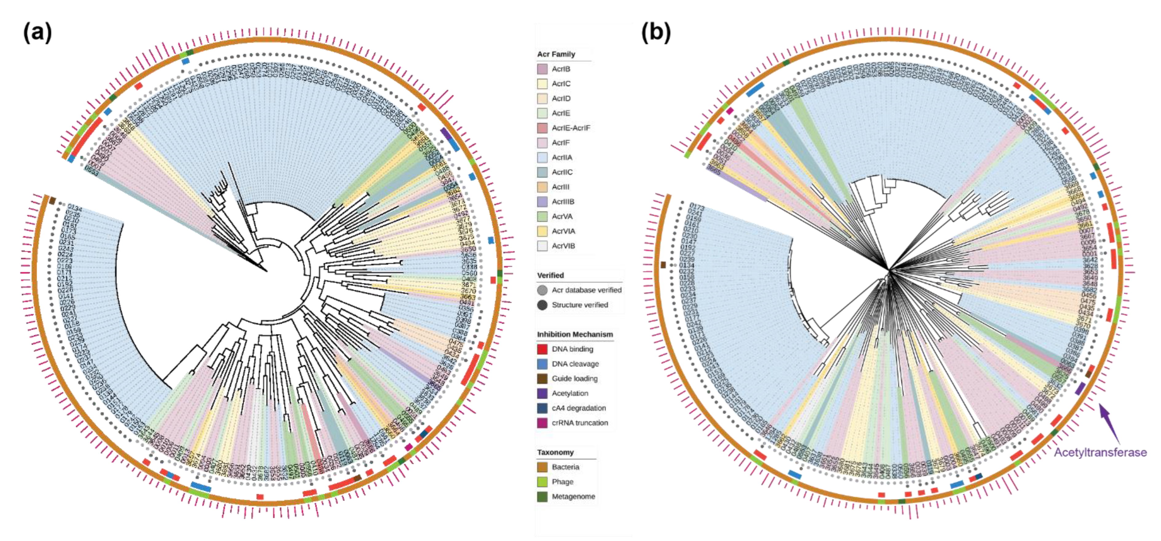 Pharmaceuticals 15 00310 g003