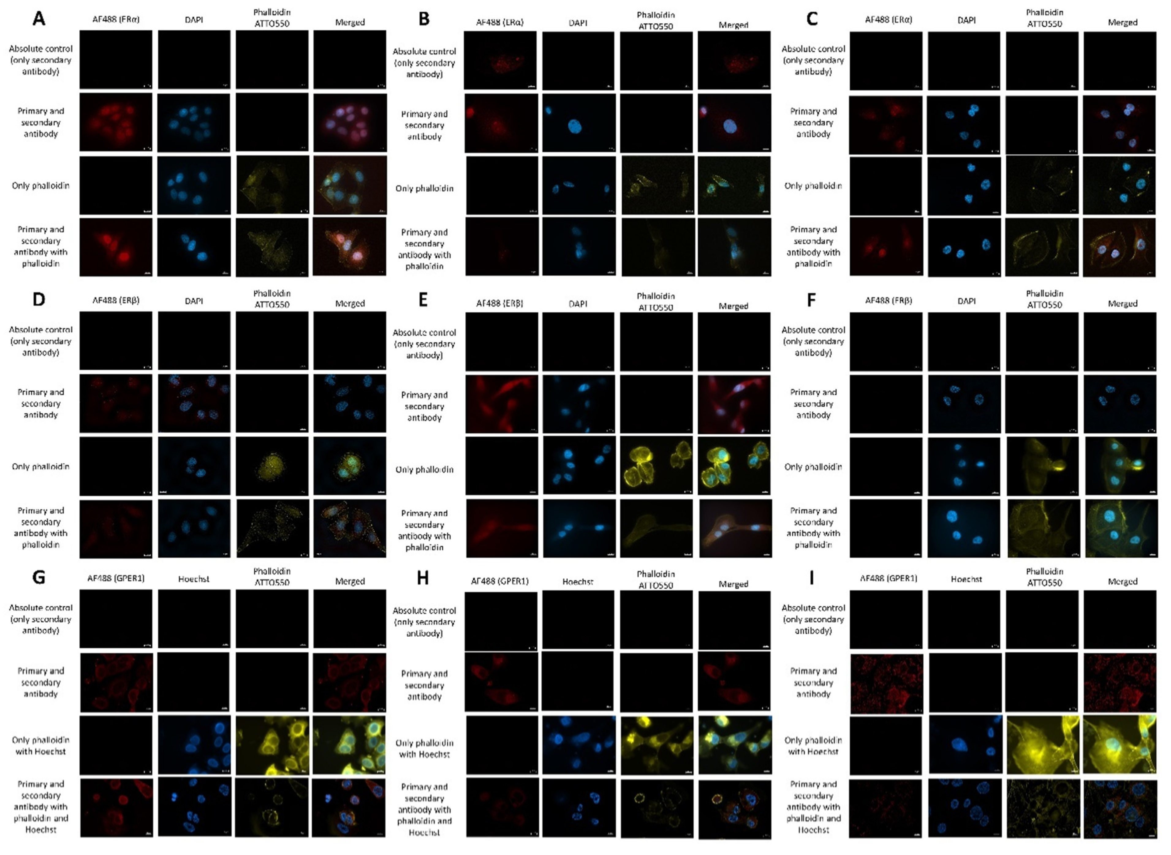 Pharmaceuticals 15 00314 g006