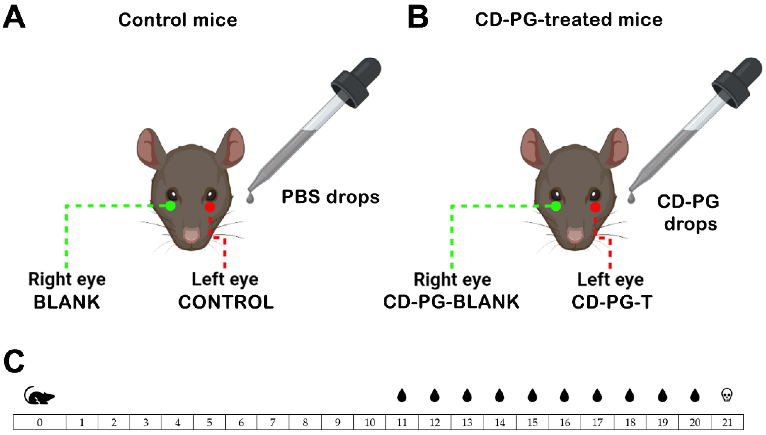Pharmaceuticals 15 00328 g001