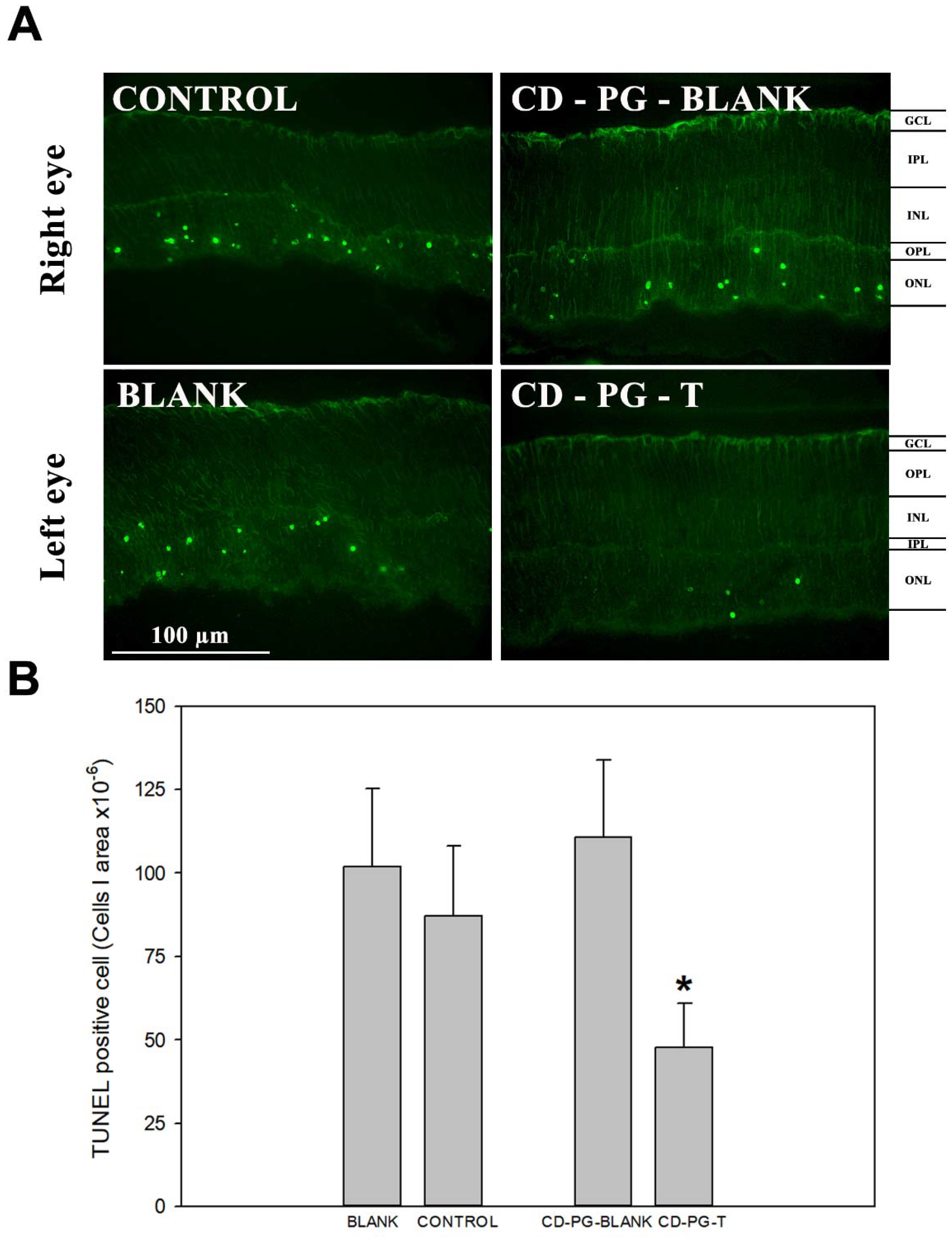 Pharmaceuticals 15 00328 g002