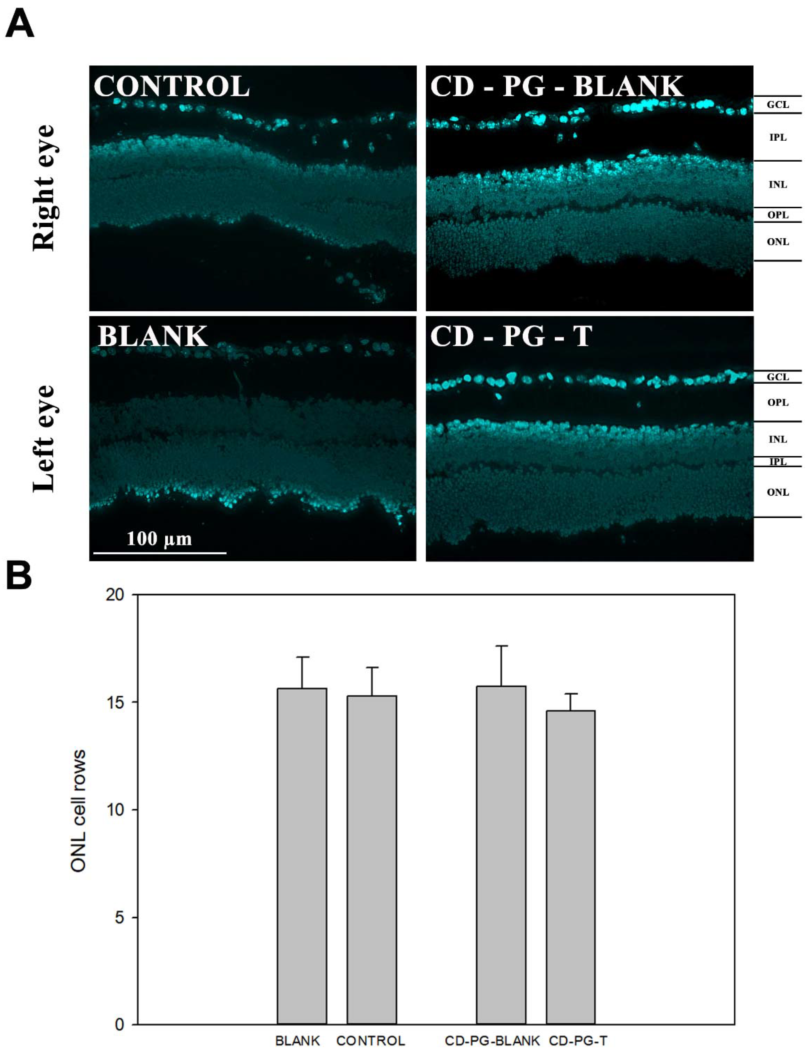 Pharmaceuticals 15 00328 g004