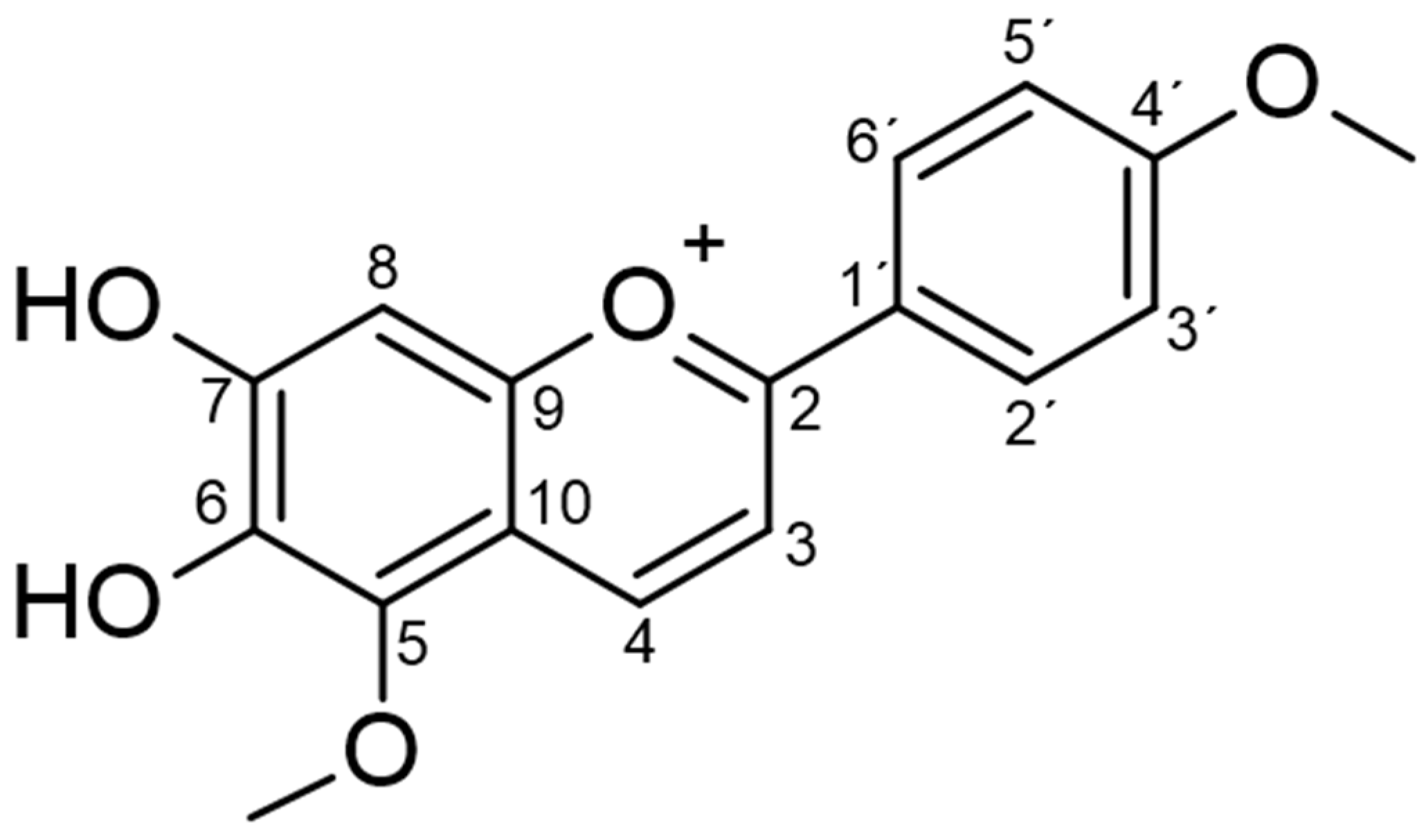 Pharmaceuticals 15 00331 g001
