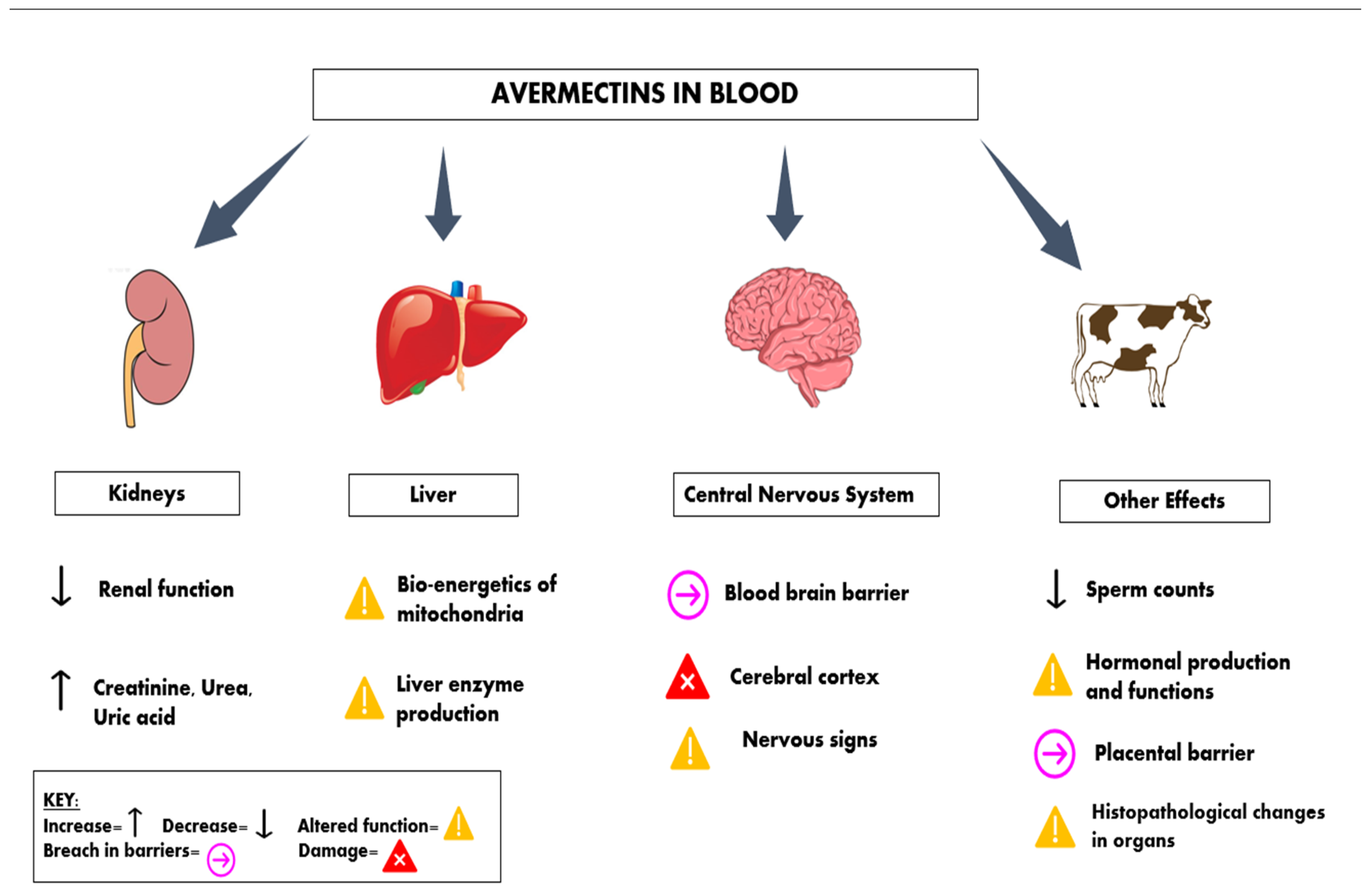 Pharmaceuticals 15 00332 g004