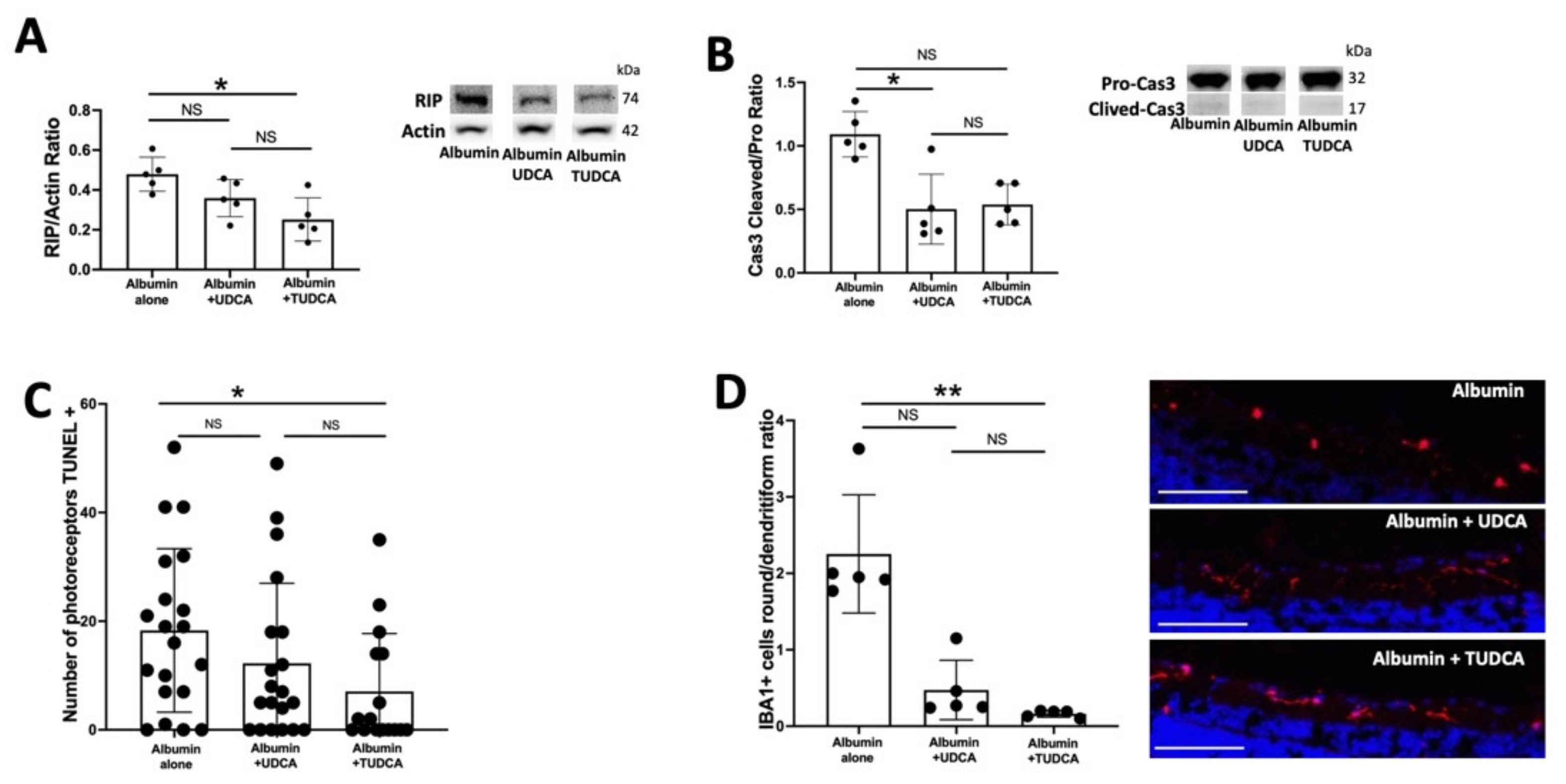 Pharmaceuticals 15 00334 g002
