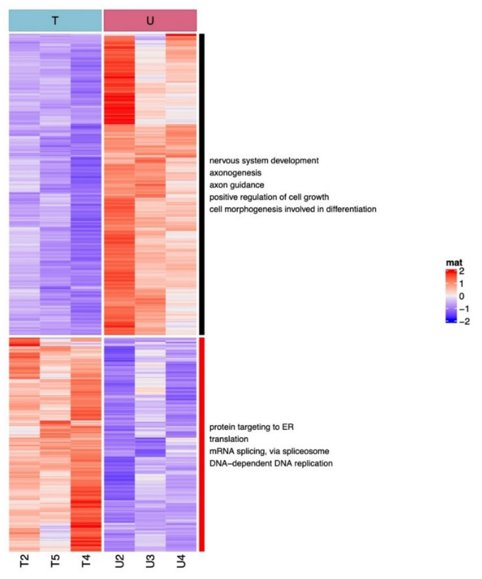 Pharmaceuticals 15 00334 g004
