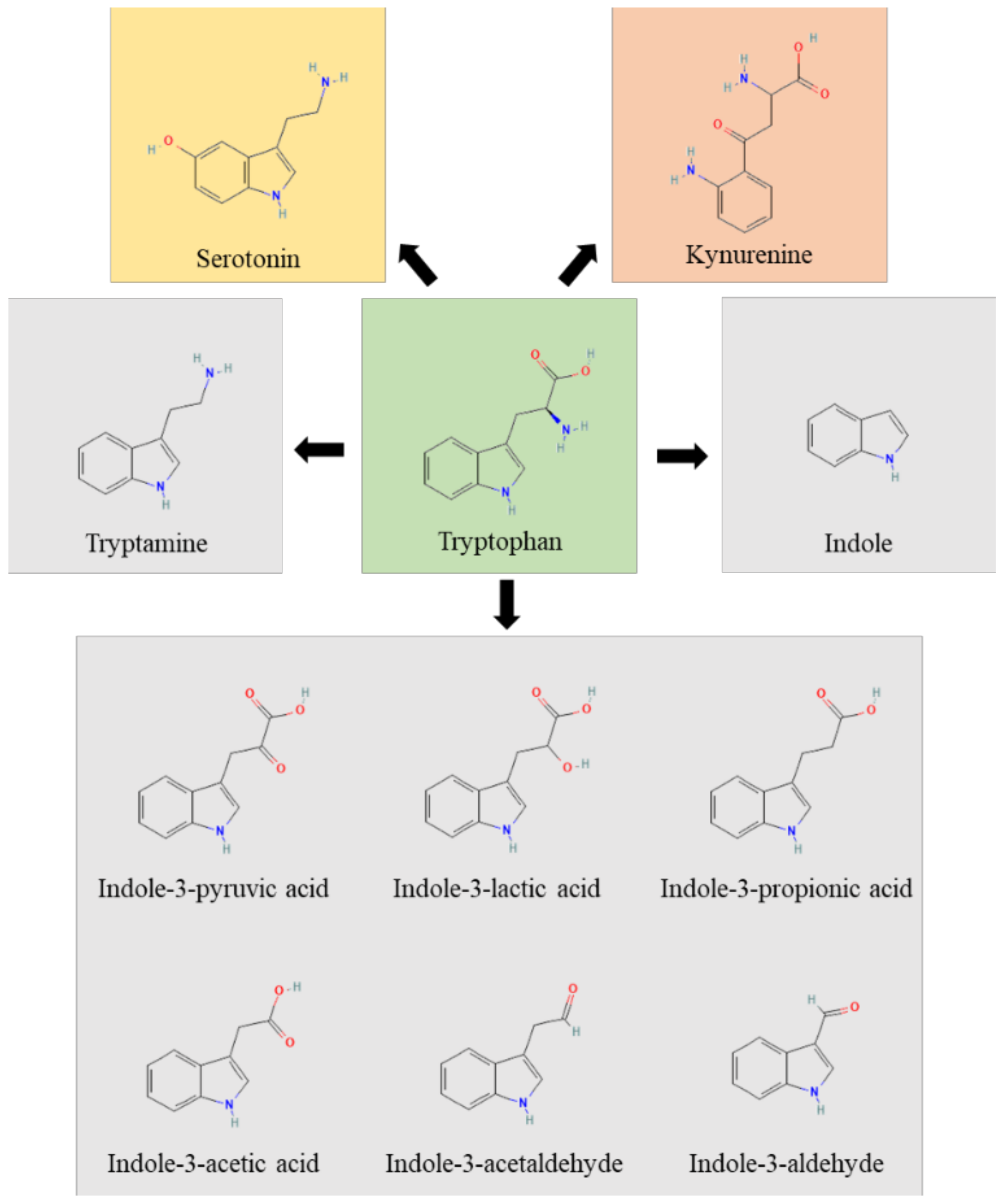 Pharmaceuticals 15 00336 g001 Pharmaceuticals 15 00336 g001