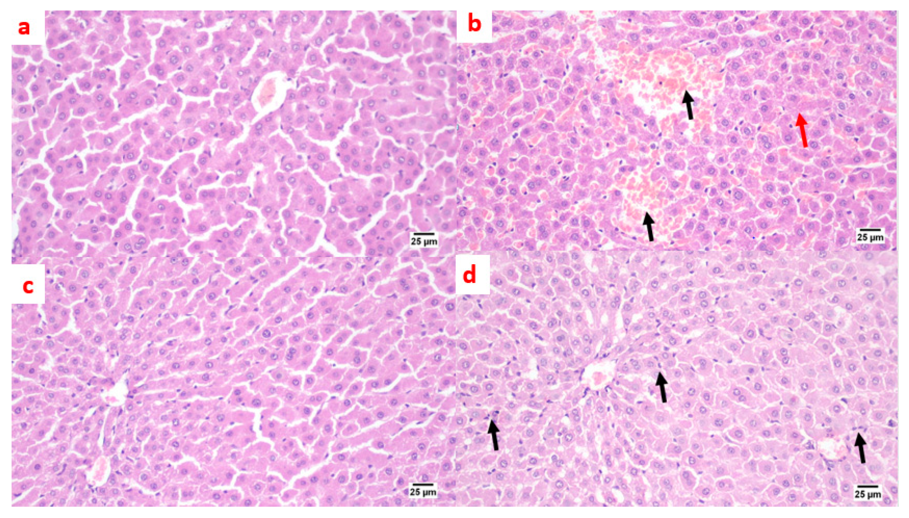 Pharmaceuticals 15 00341 g007