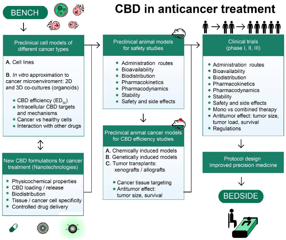 Pharmaceuticals 15 00366 g003 Pharmaceuticals 15 00366 g003