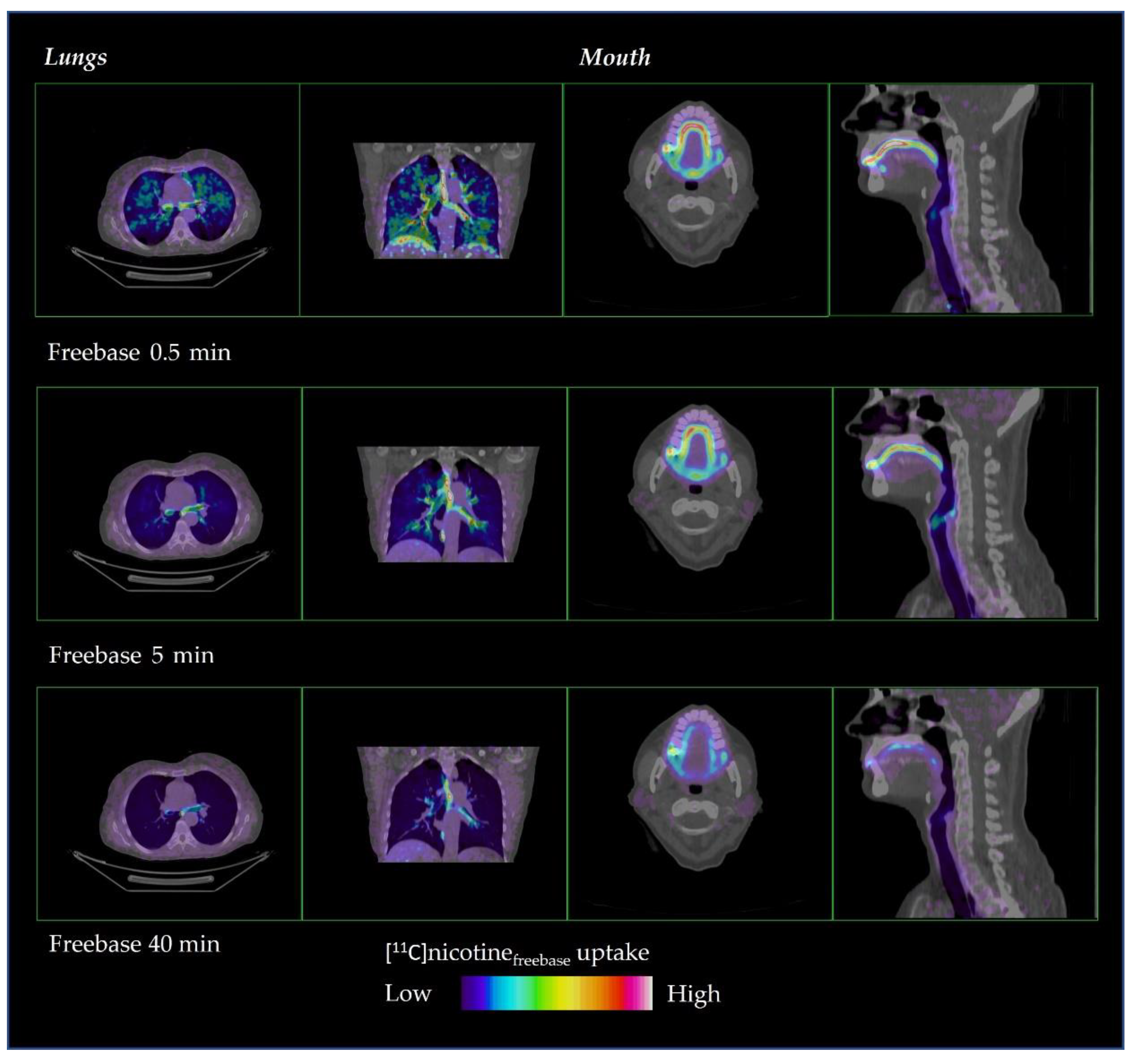 Pharmaceuticals 15 00367 g002