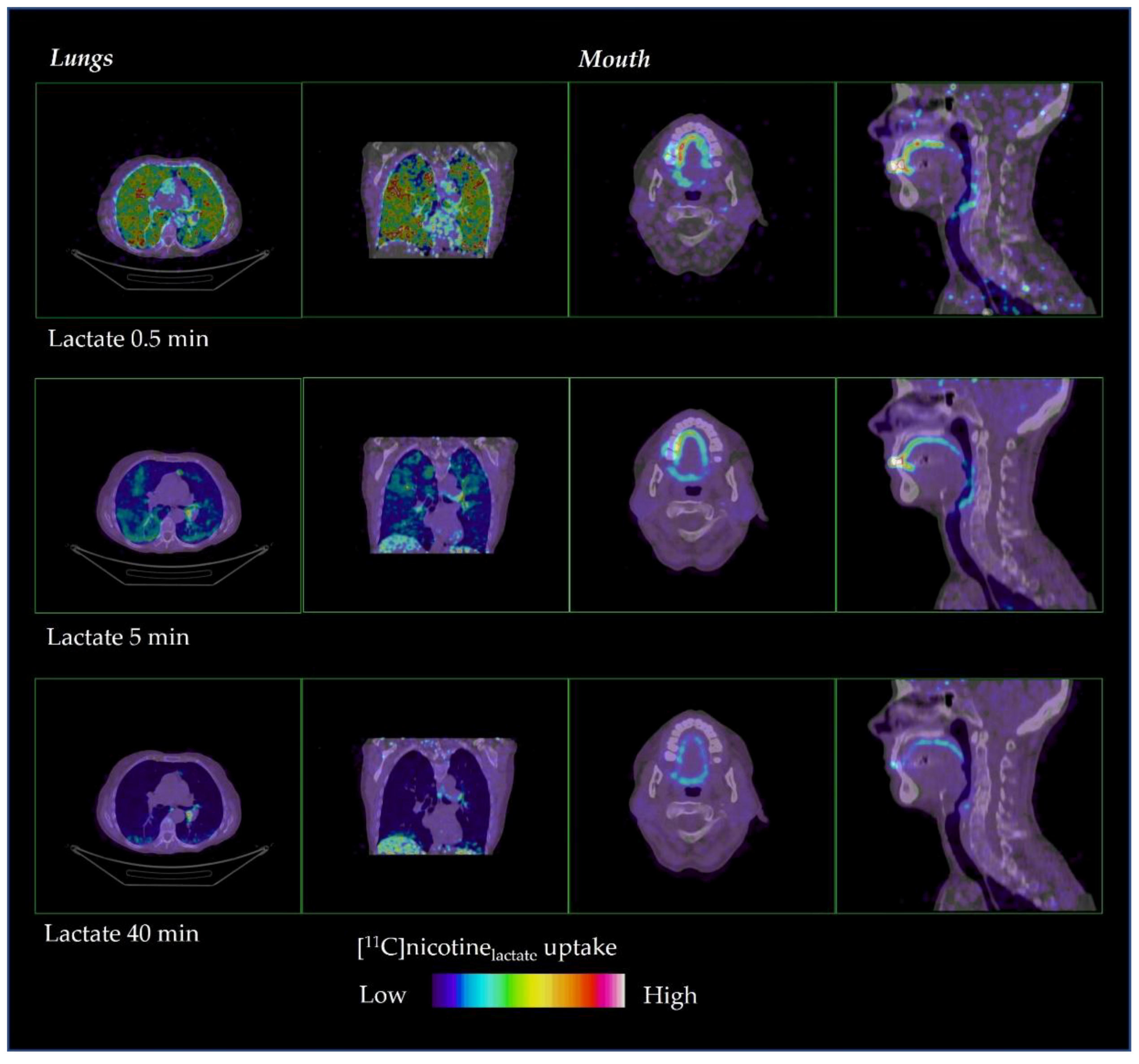 Pharmaceuticals 15 00367 g003