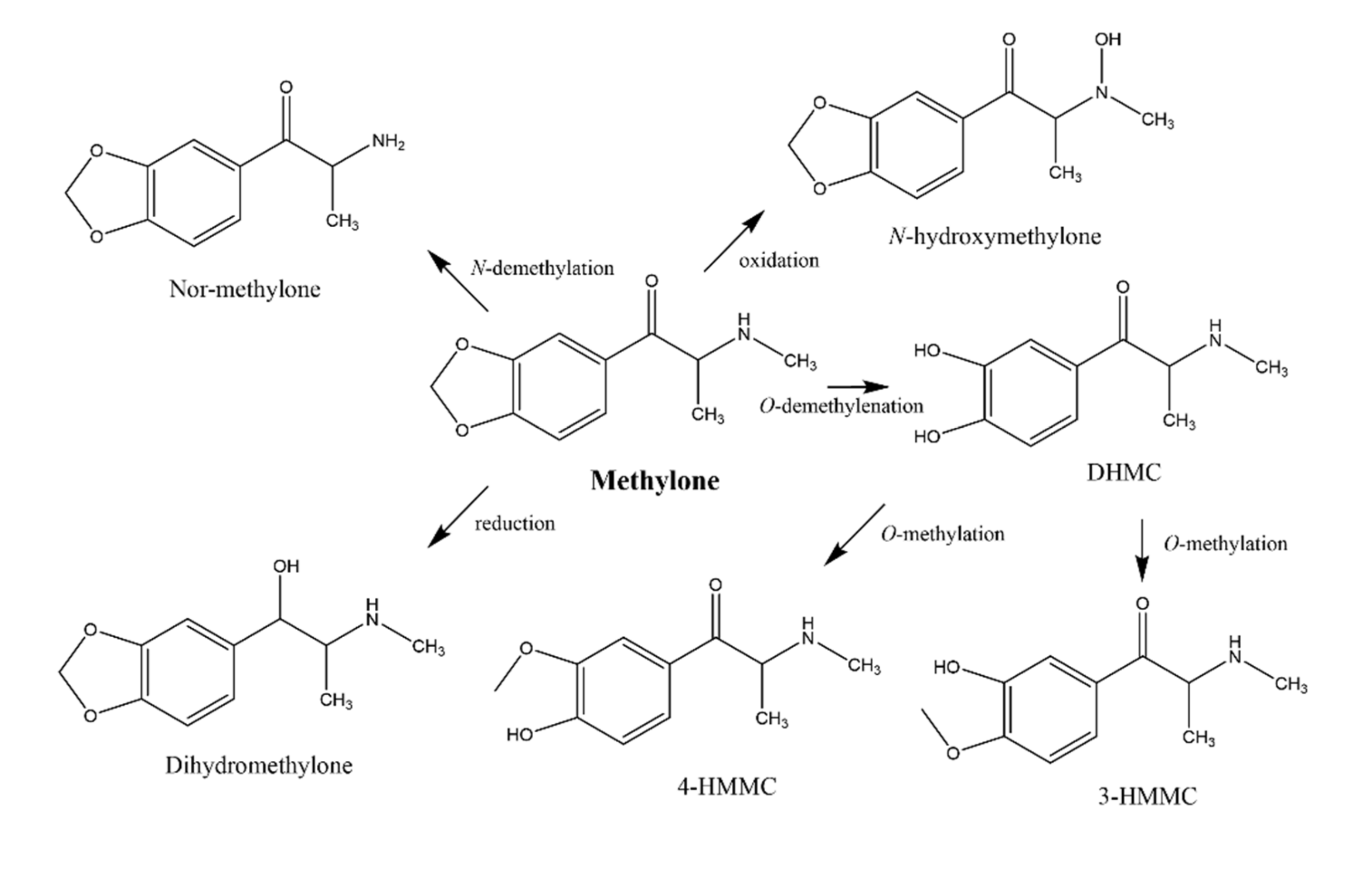 Pharmaceuticals 15 00368 g001