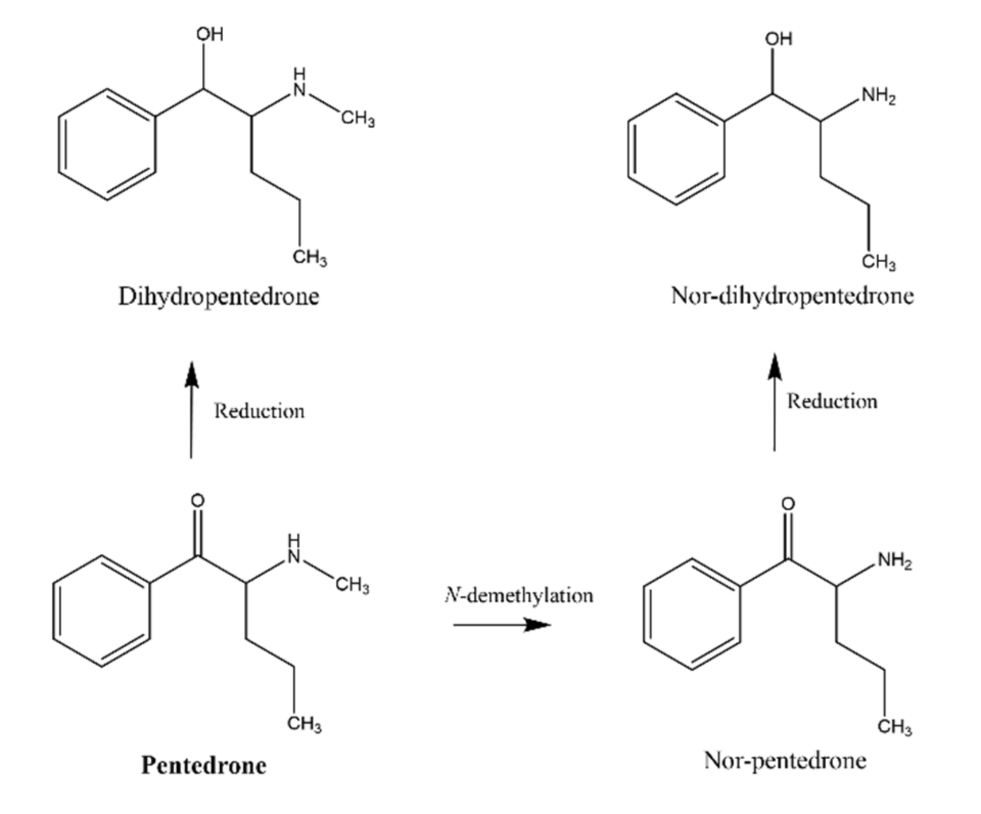 Pharmaceuticals 15 00368 g002