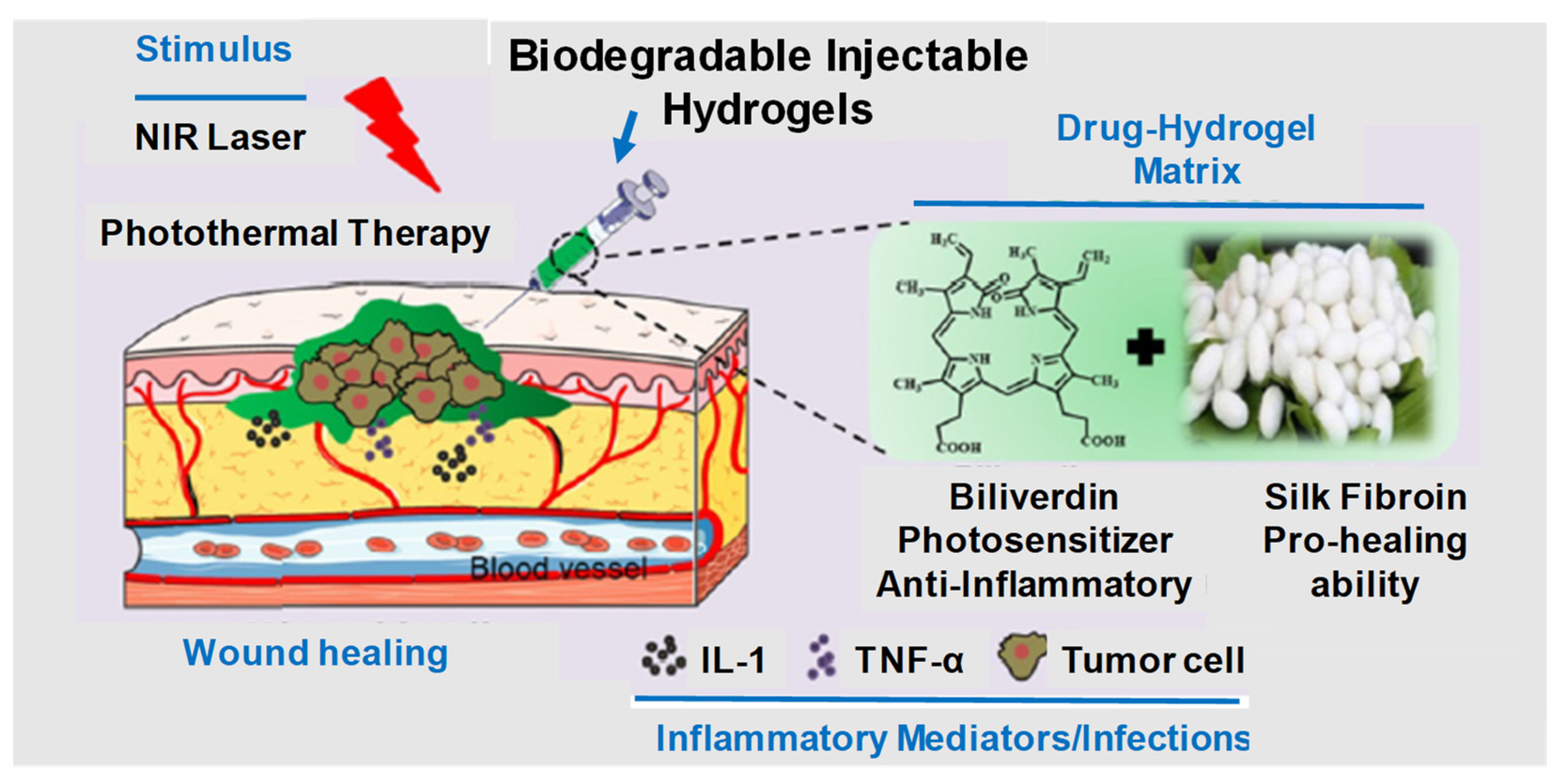 Pharmaceuticals 15 00371 g002